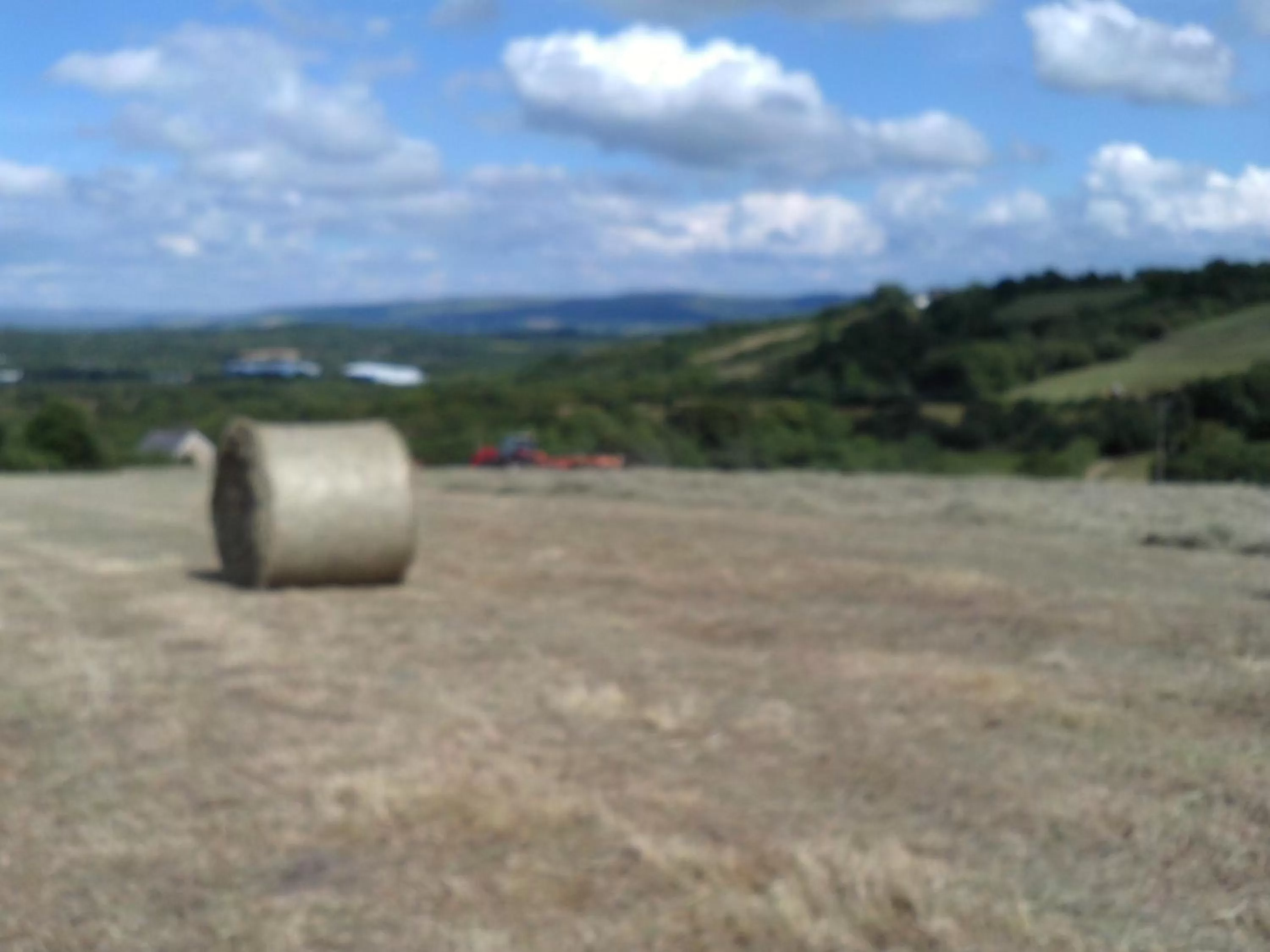 Natural landscape in Bryncoch
