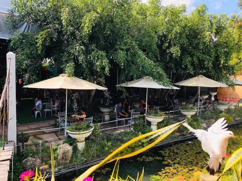 Breakfast in D'Villa Hotel - Homestay