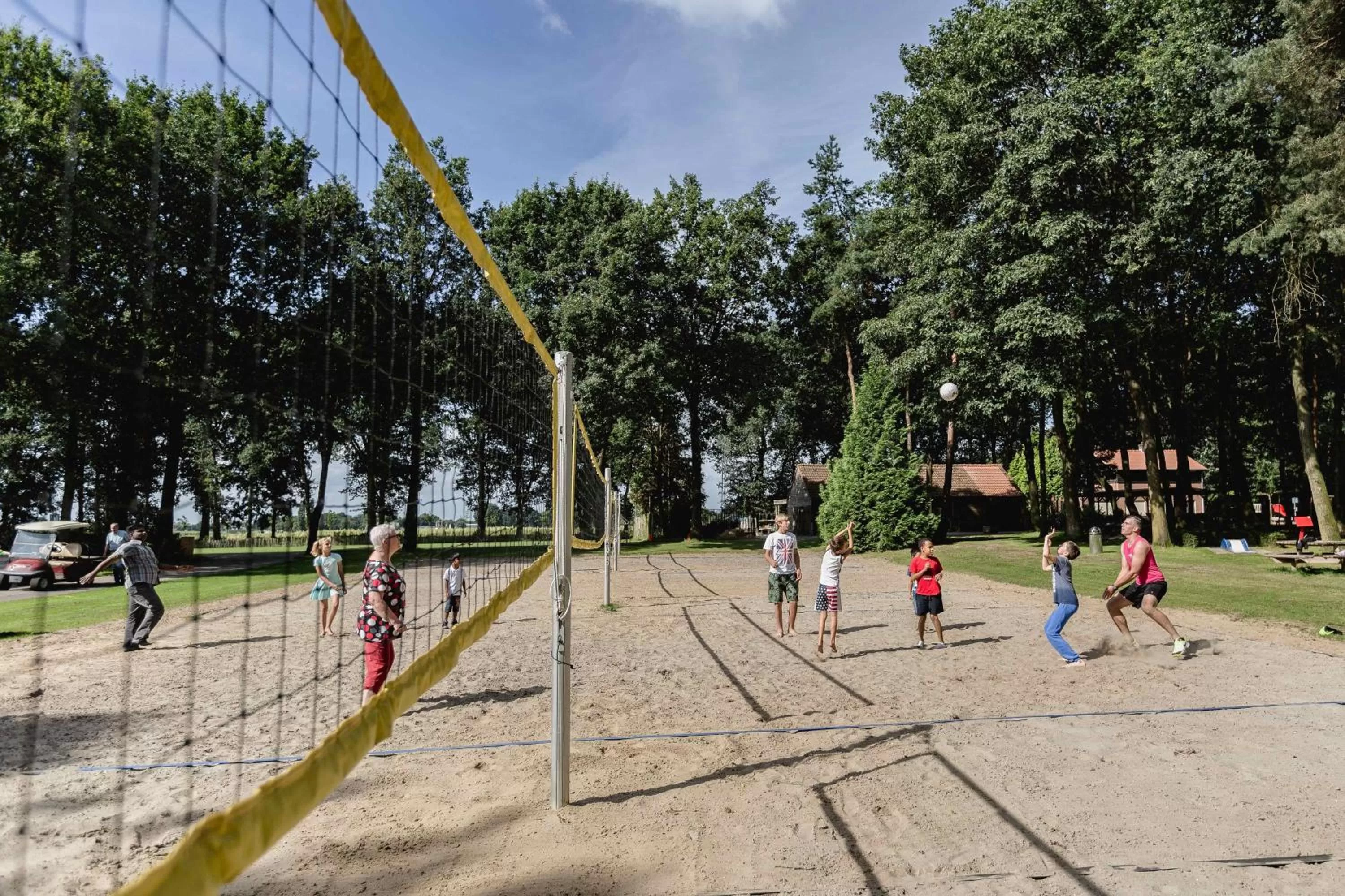 Garden in 50|50 Hotel Belmont