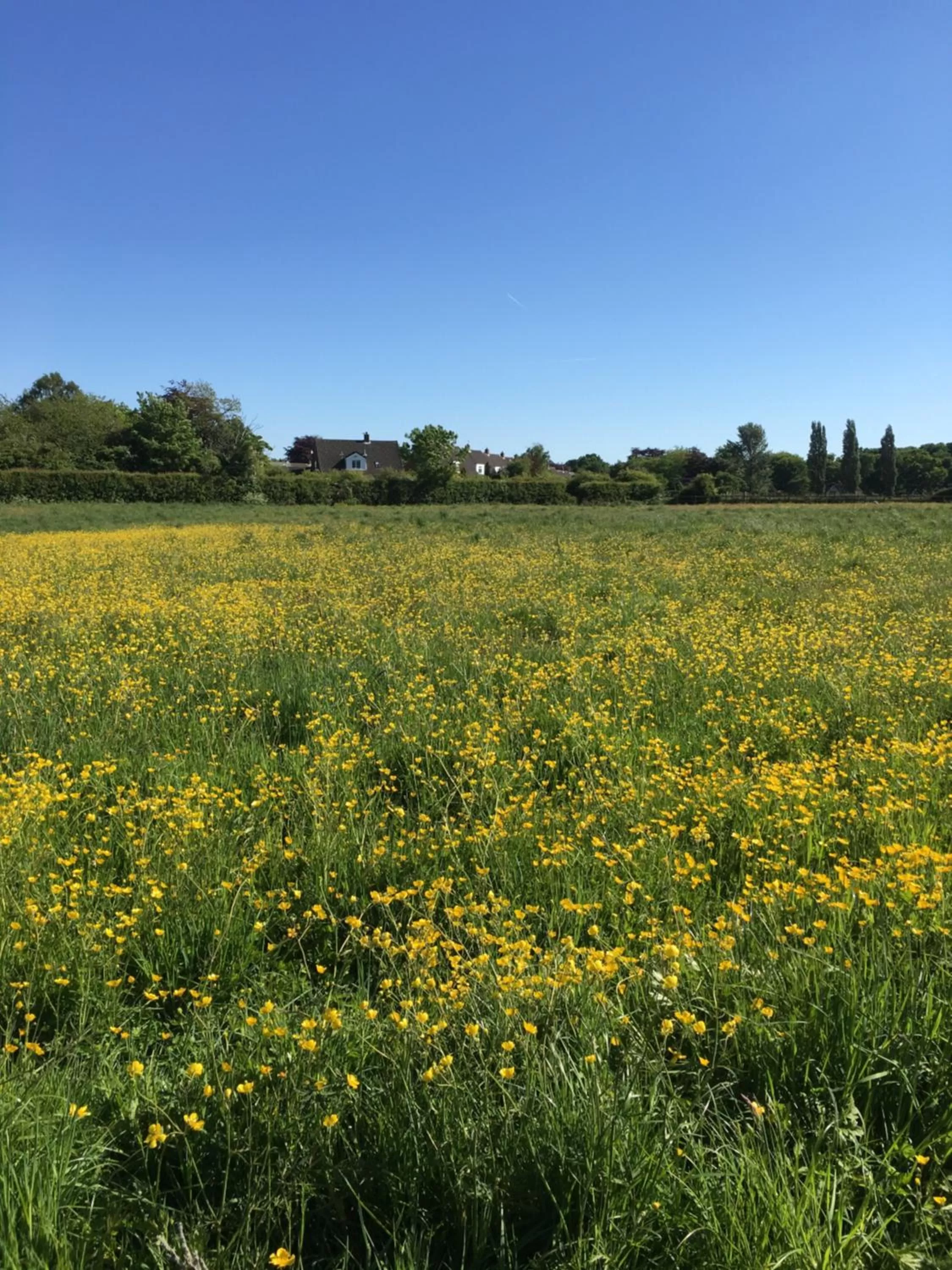 The Barn Bed and Breakfast