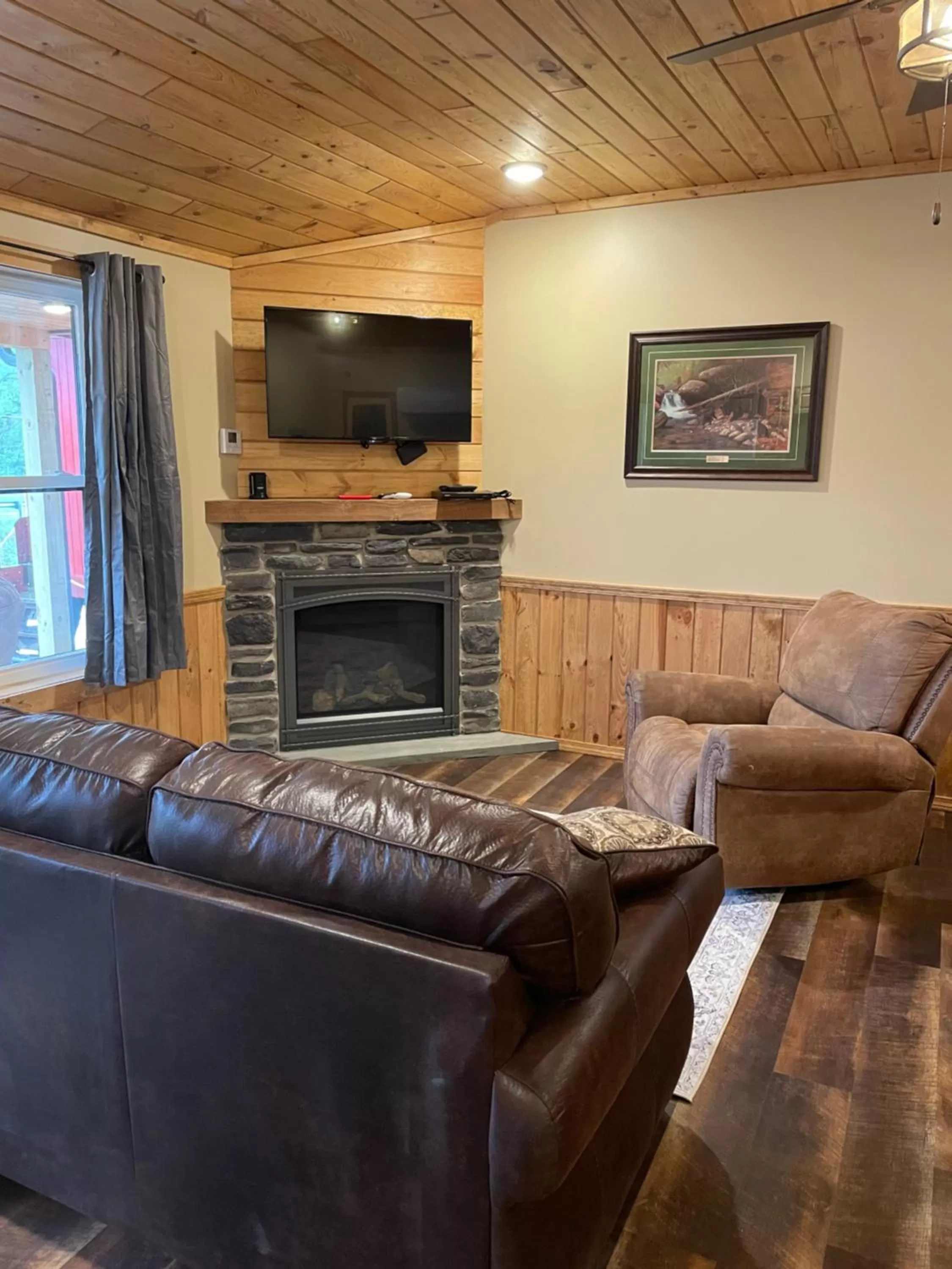 TV and multimedia in Rough Cut Lodge