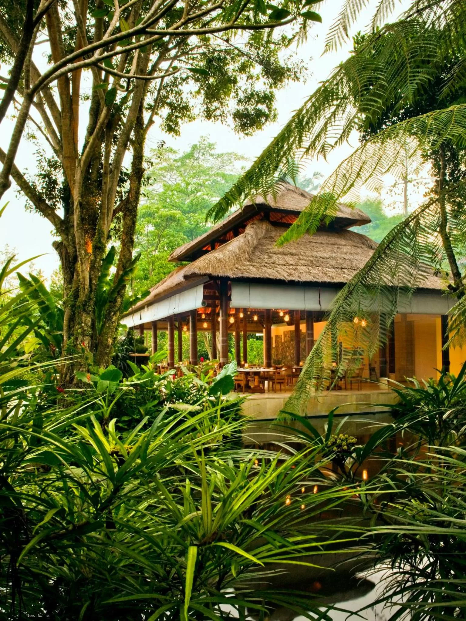 Restaurant/places to eat in COMO Uma Ubud