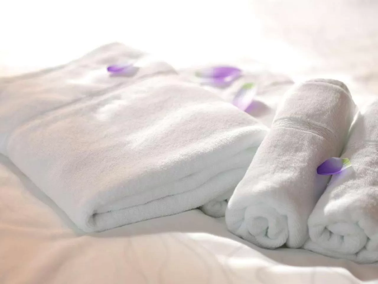 Other in HOTEL AMANEK Asahikawa