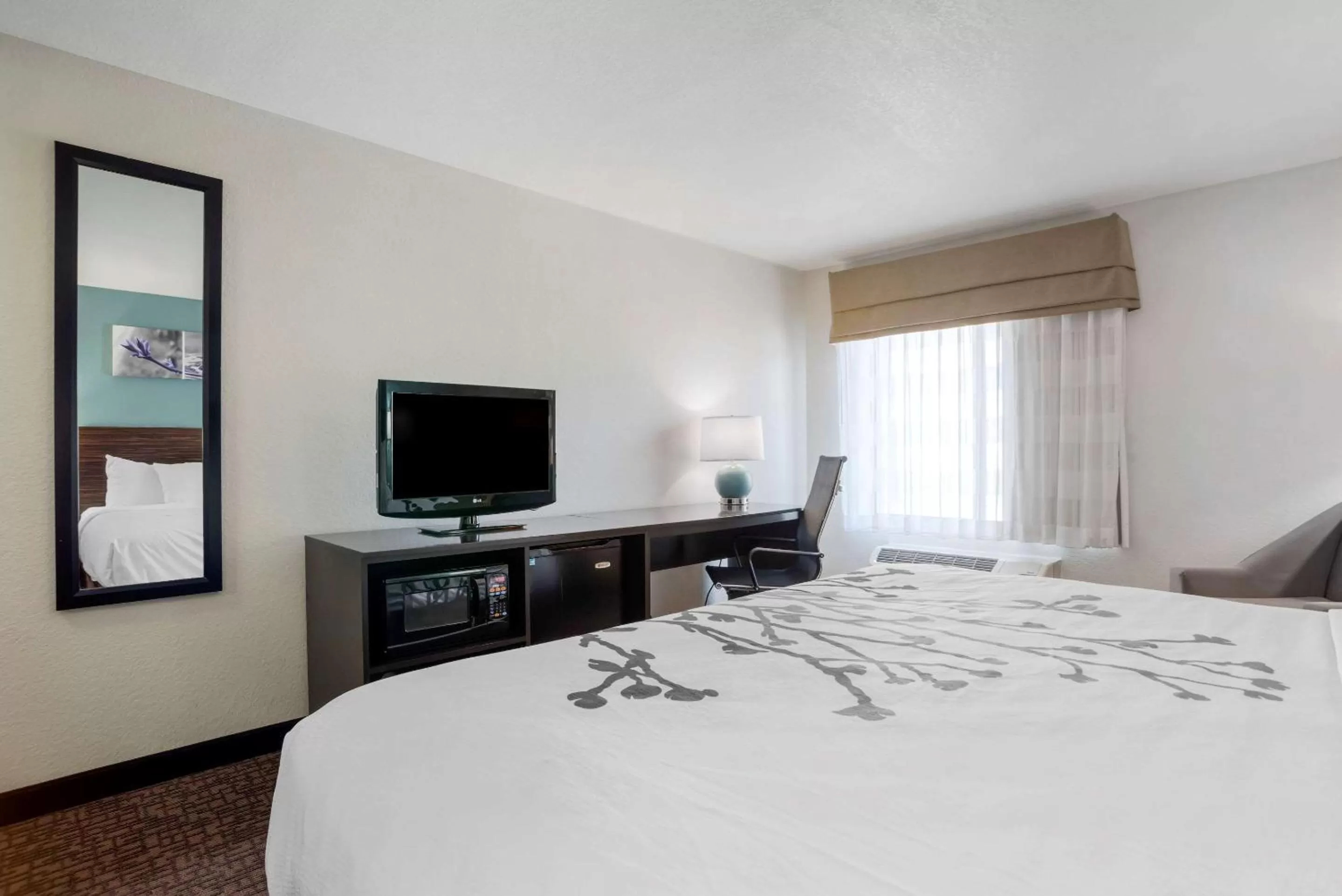King Room with Roll-In Shower - Accessible/Non-Smoking in Sleep Inn & Suites Auburn Campus Area I-85