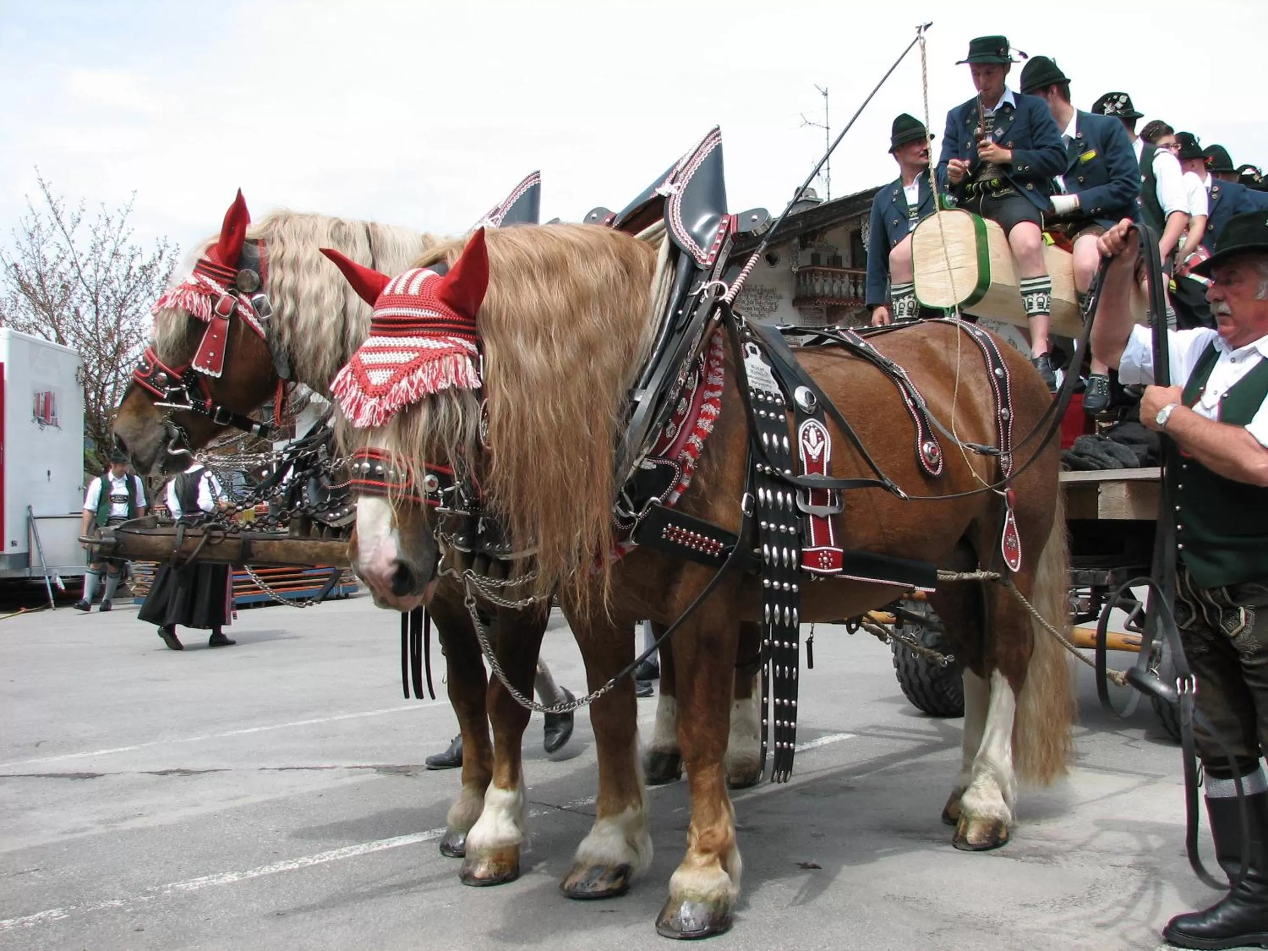 Animals in Aktivhotel & Gasthof Schmelz Ihr familienfreundliches Urlaubs Hotel mit Wellness Almsauna ab Februar Chiemgau Karte