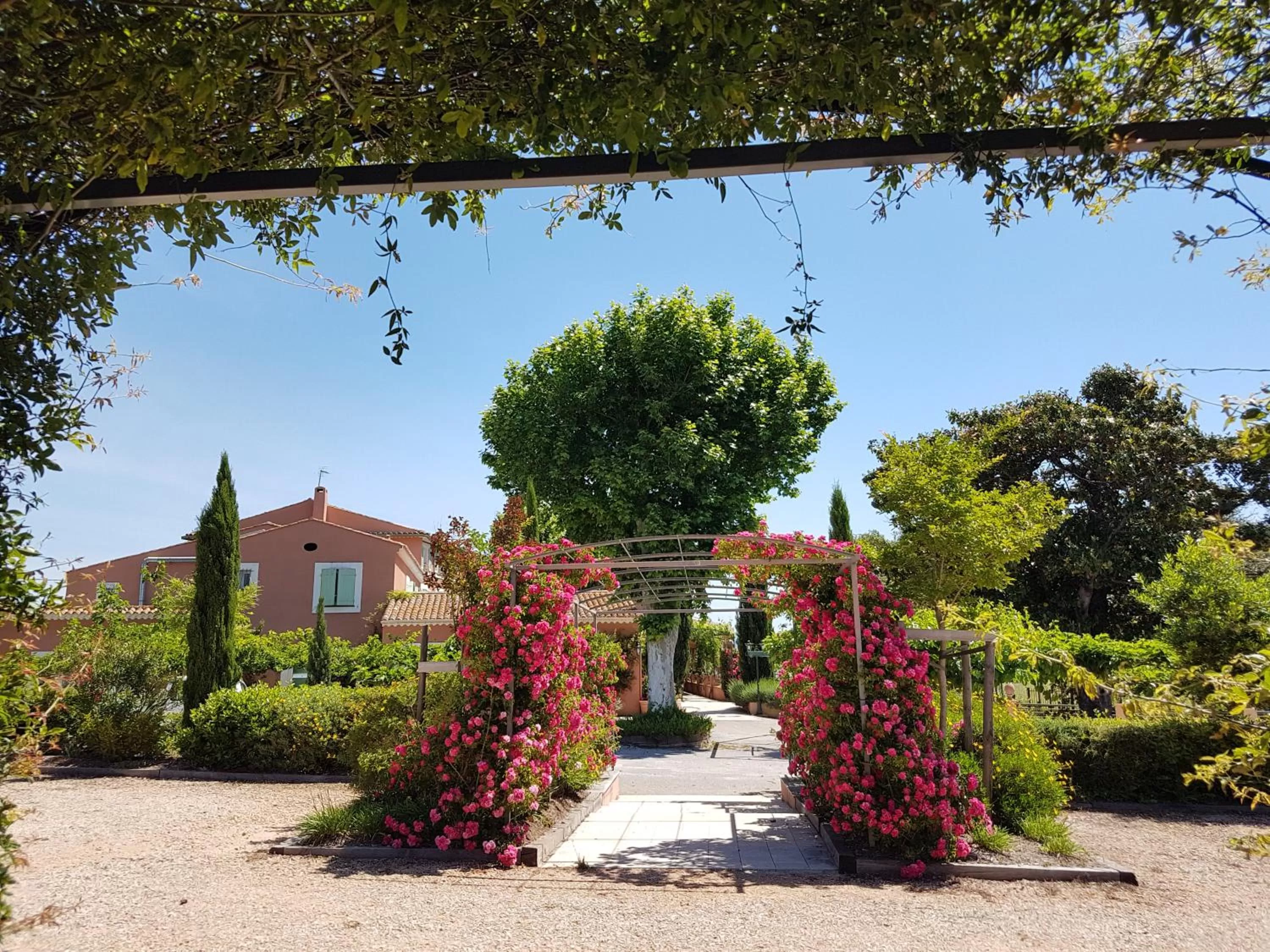 Garden in Le Mas du Lingousto