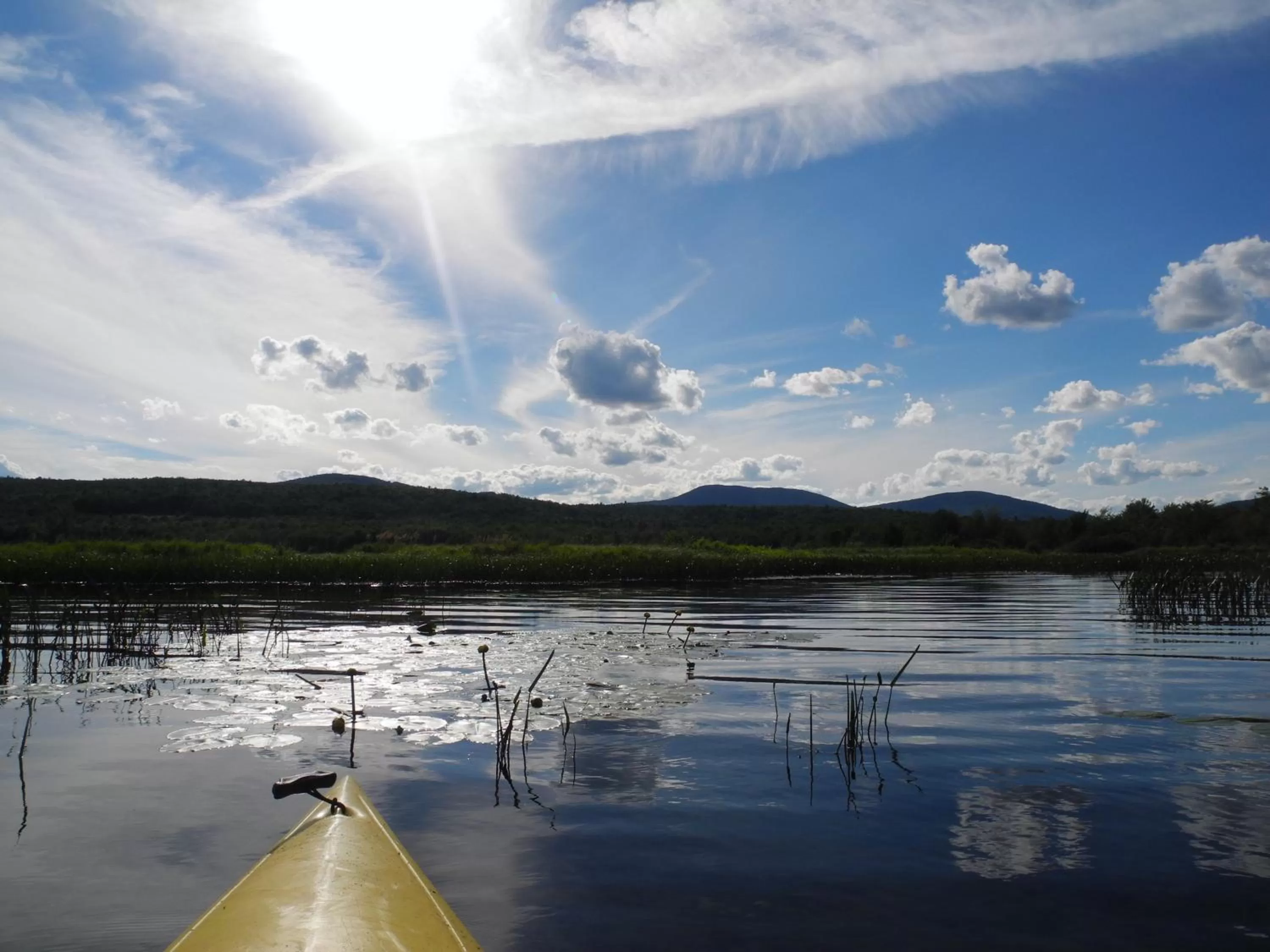 Natural landscape in Wilson Lake Inn