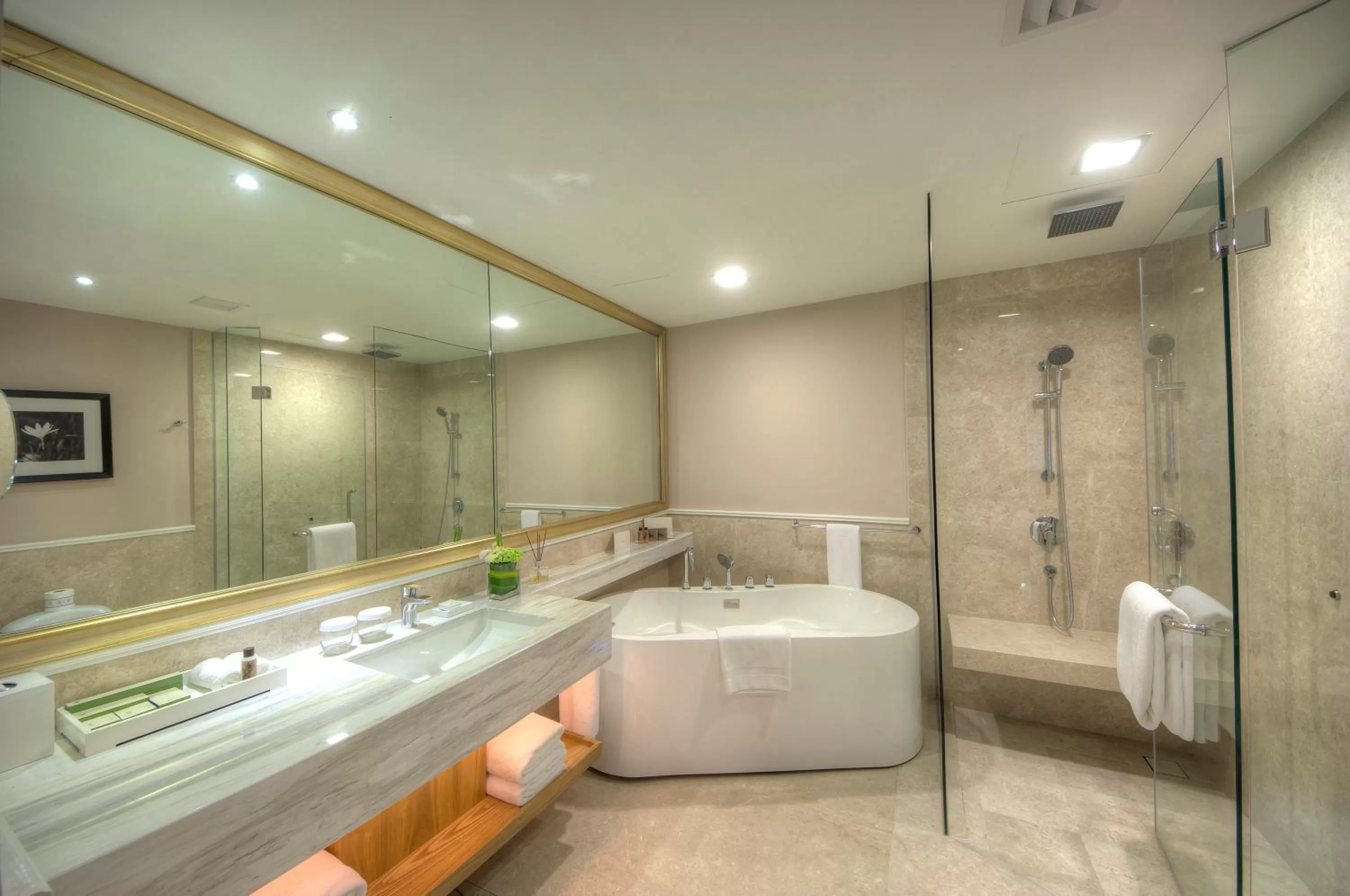 Shower in The Chateau Spa & Wellness Resort