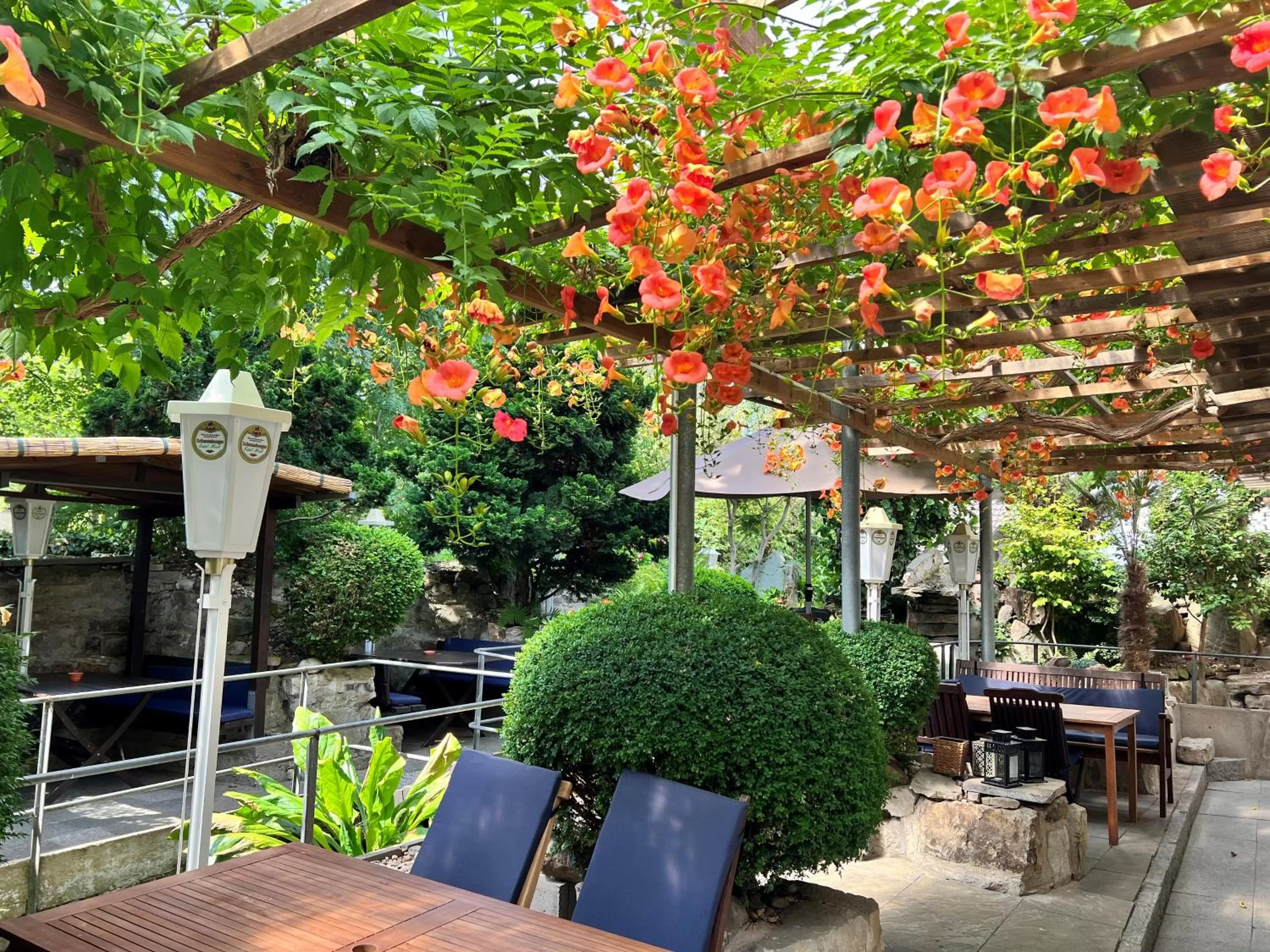 Patio in Hotel zur Amtspforte