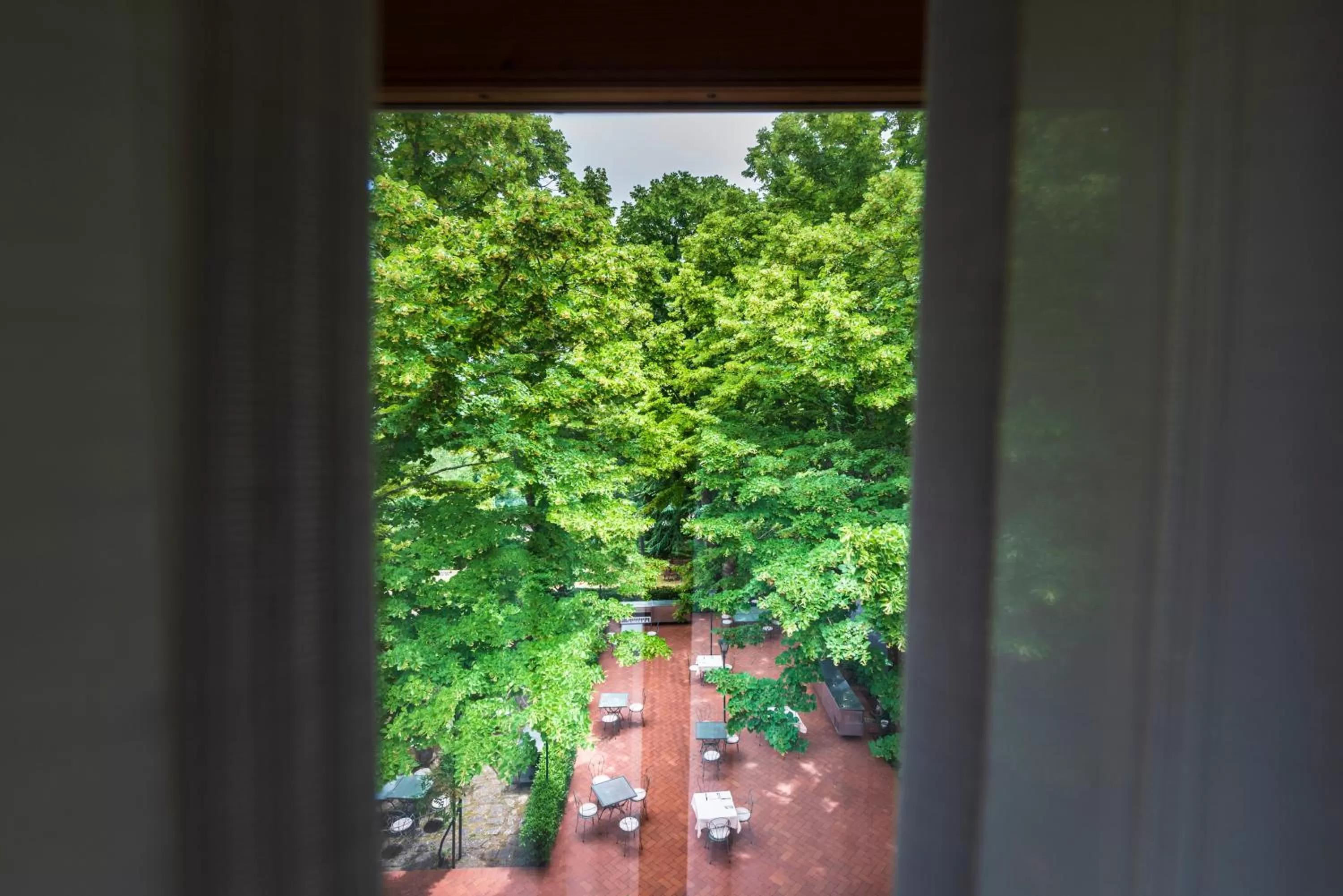 View (from property/room) in Villa Scacciapensieri Boutique Hotel