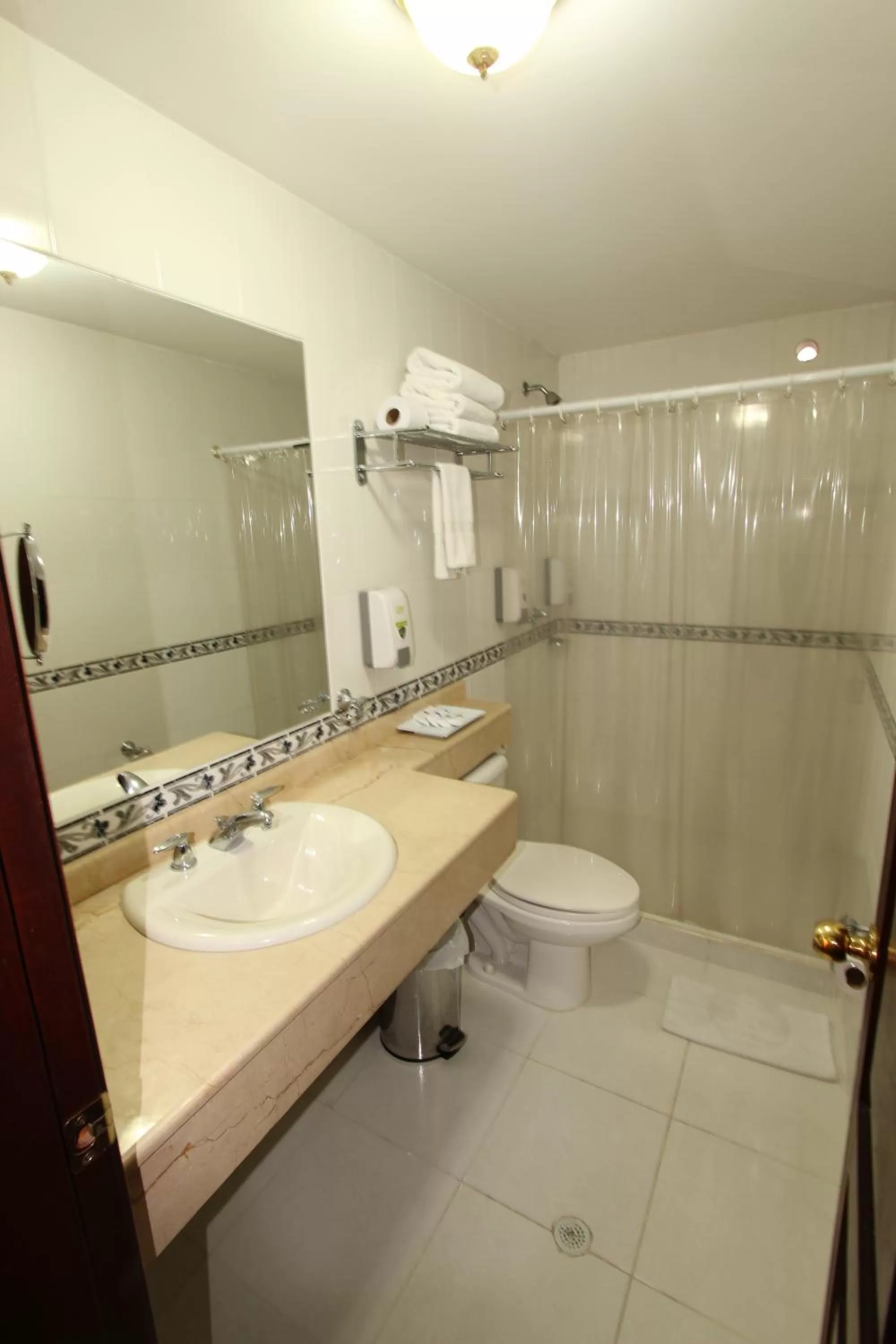 Decorative detail, Bathroom in Hotel San Fernando Real