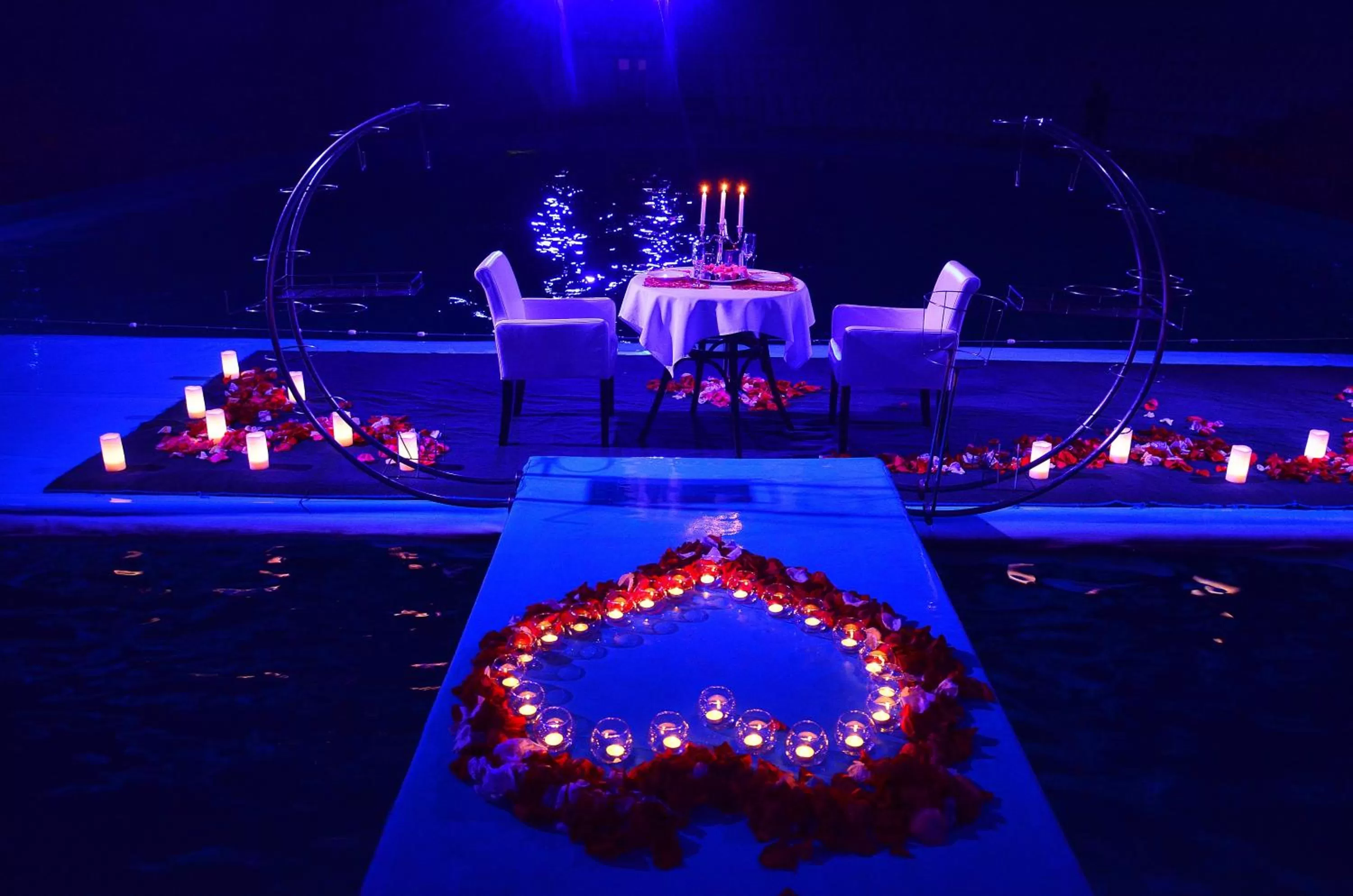 Activities in Hotel & Spa NEMO with dolphins