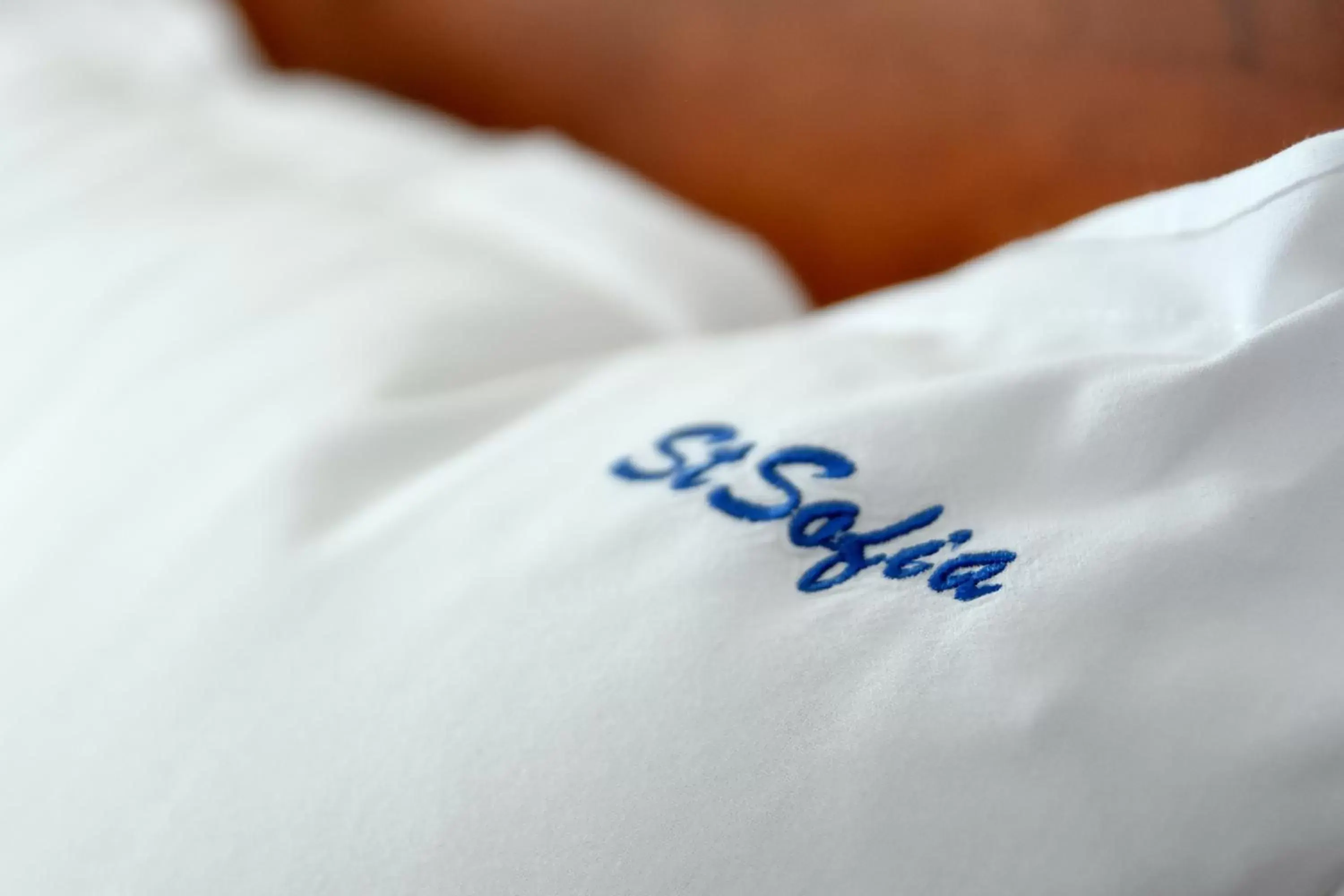 Sveta Sofia Hotel Sveta Sofia Hotel