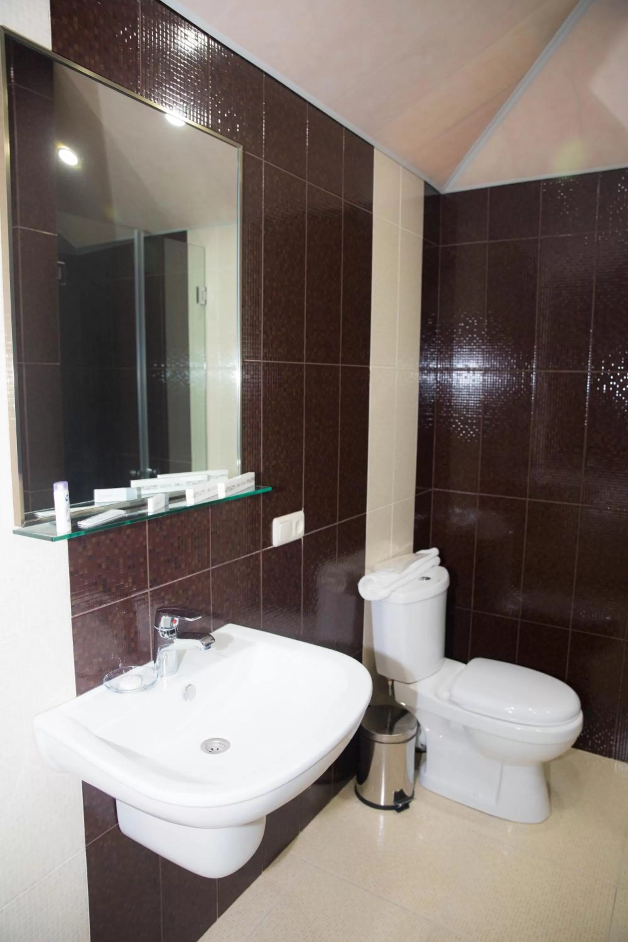 Bathroom in Eridana Hotel