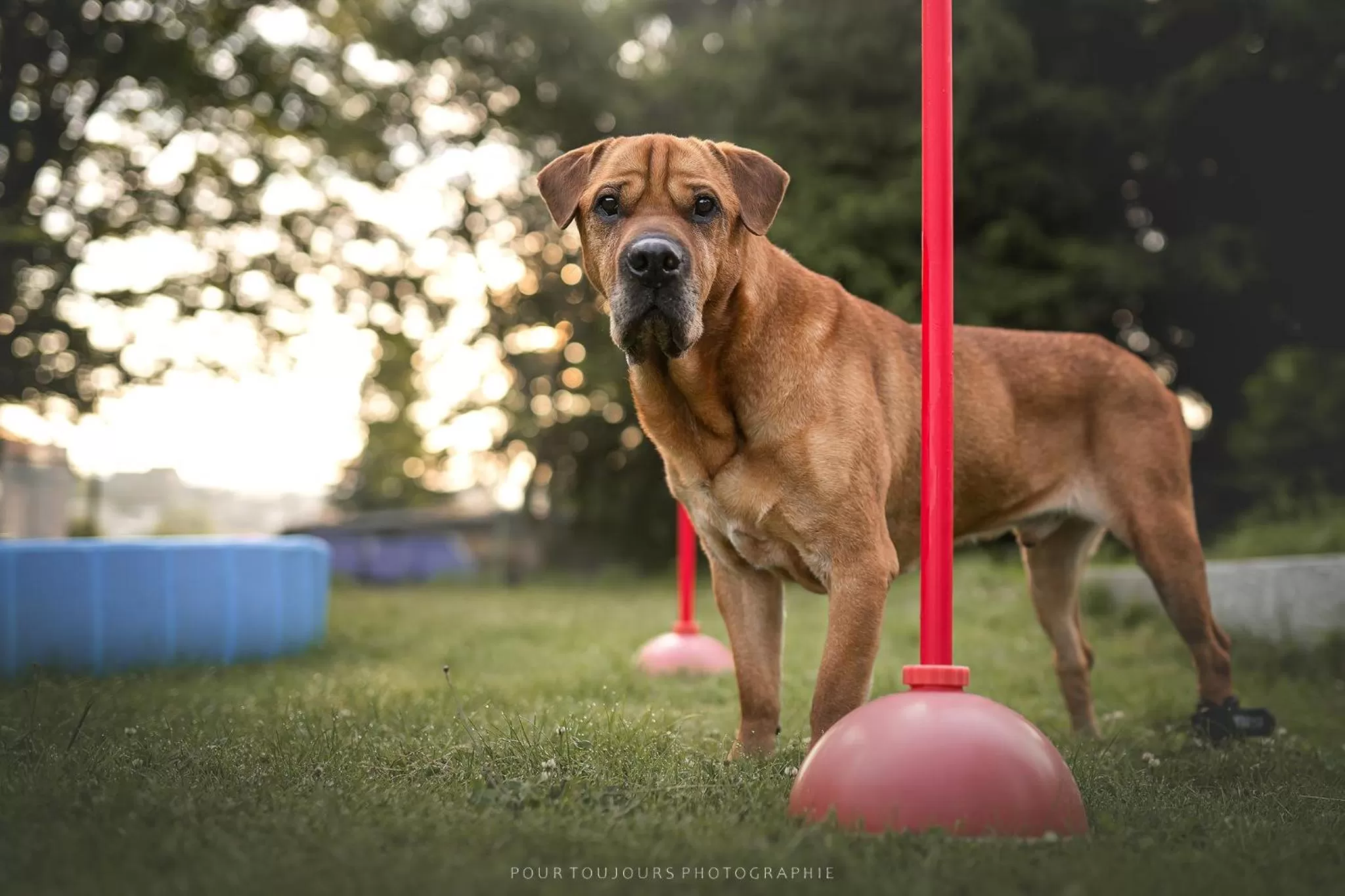 Berghotel Steiger - Erzgebirge