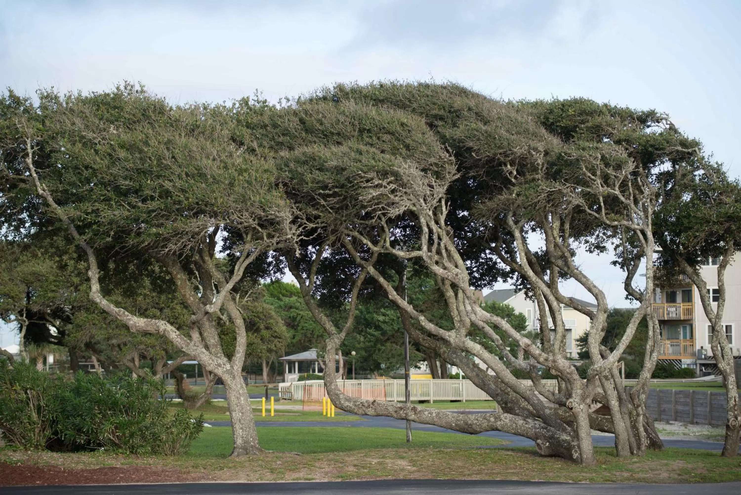 Area and facilities in Atlantic Beach Resort, a Ramada by Wyndham
