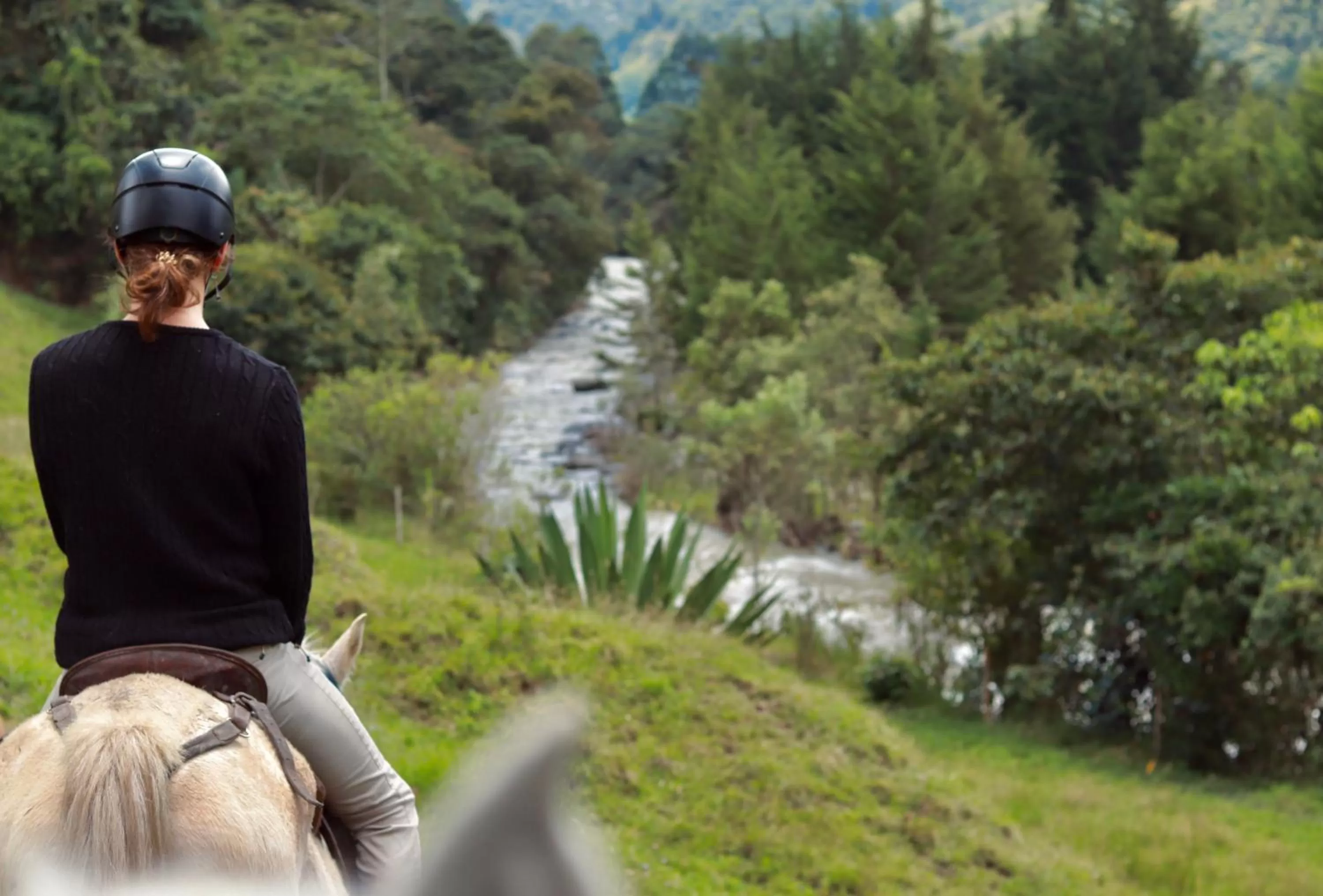 Activities in La Cabaña Ecohotel - Valle del Cocora