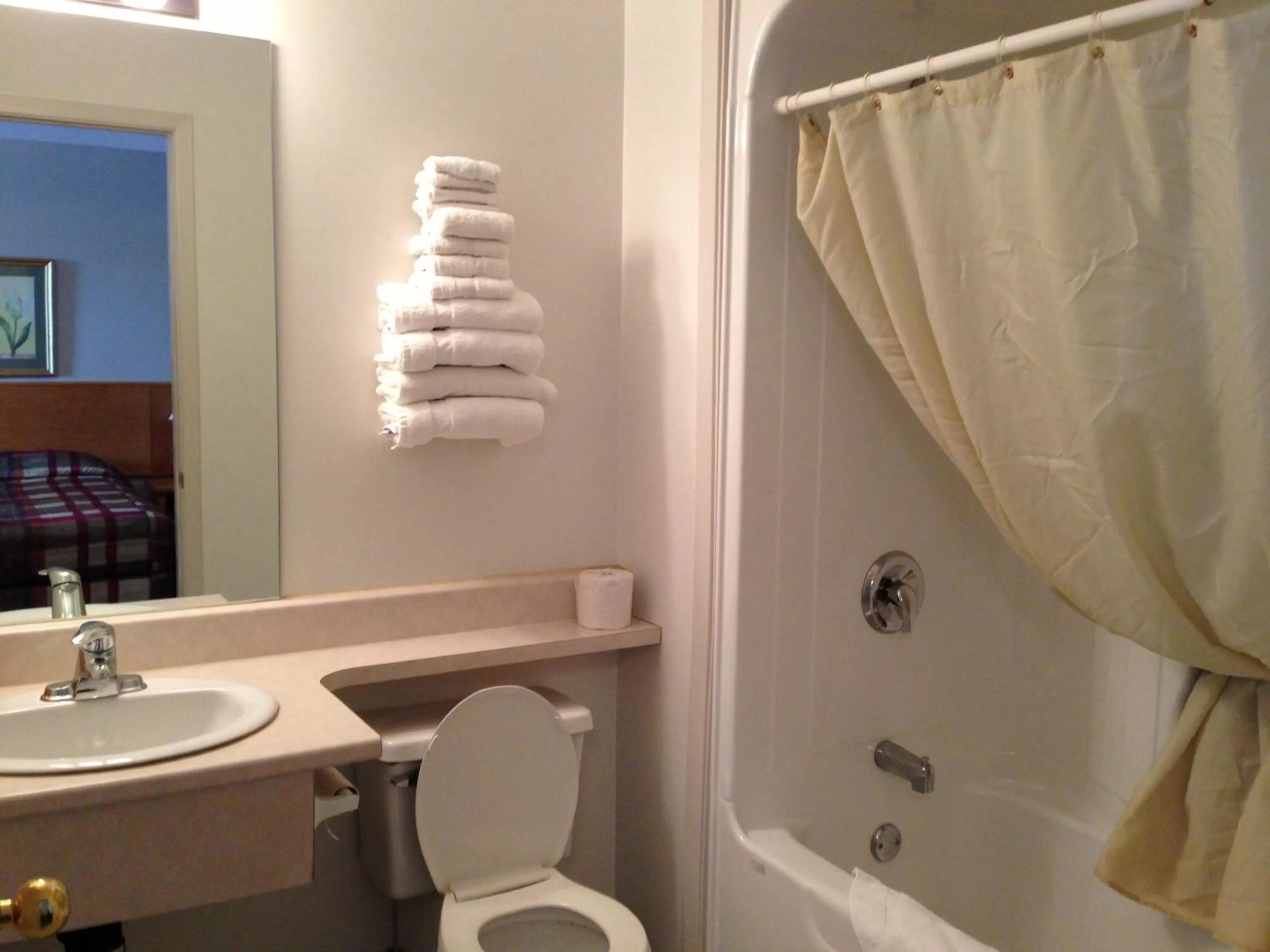 Bathroom in Settler's Inn & Motel