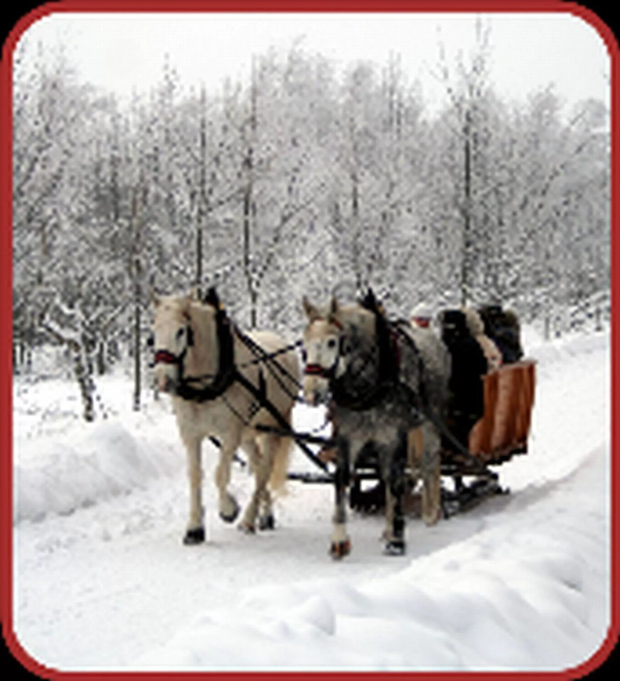 Area and facilities, Winter in Zur Edlen Krone