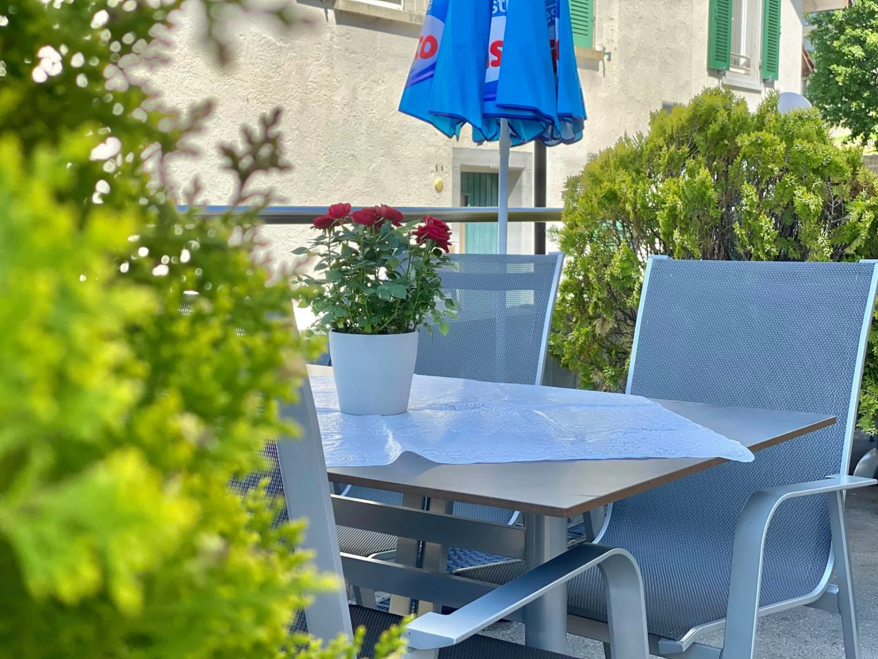 Restaurant/places to eat in Hotel Hirschen Hinwil