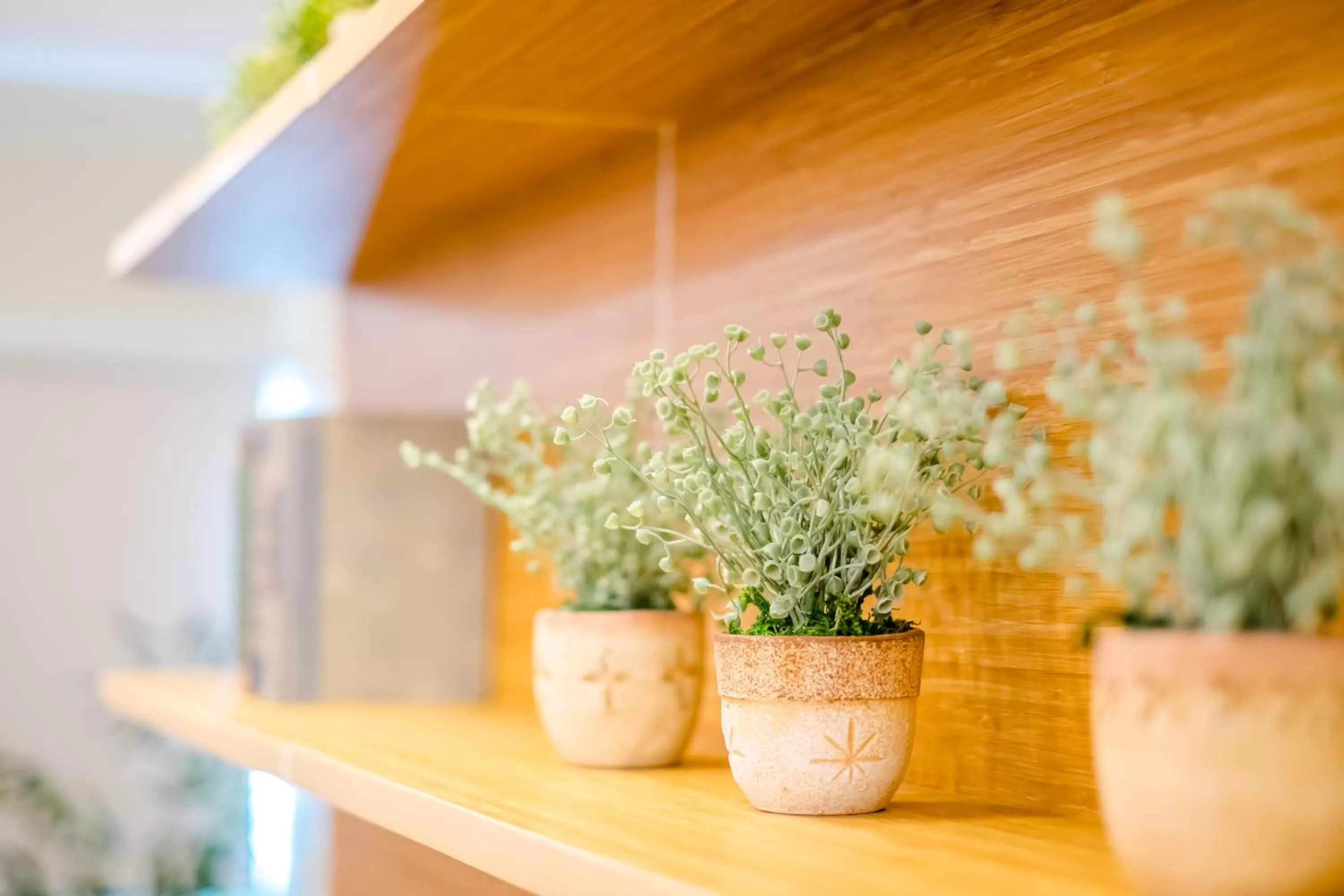 Property building in Bridge Hotel