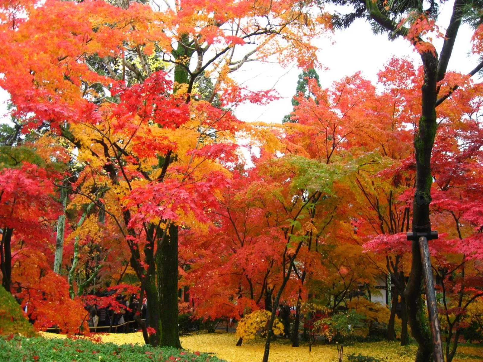 Nearby landmark in Hotel Wing International Kyoto - Shijo Karasuma