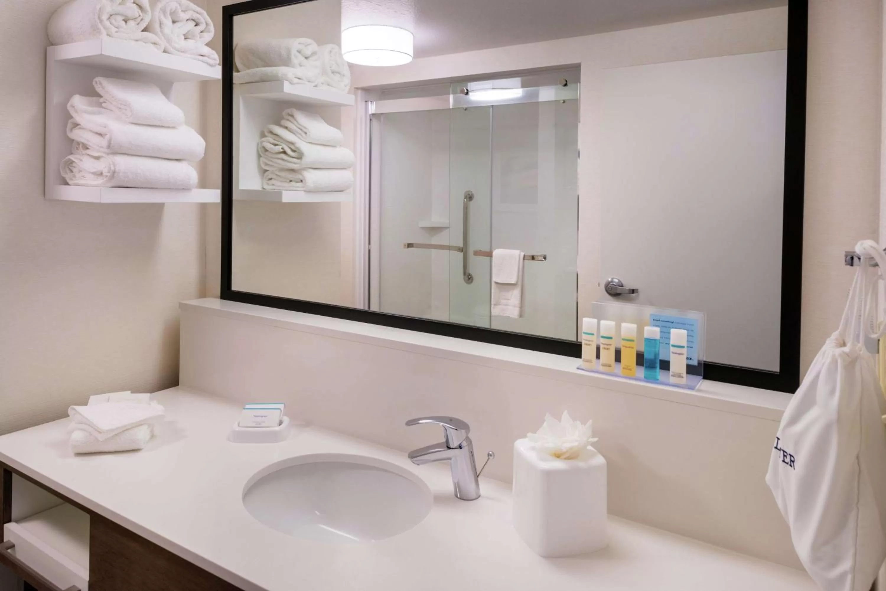 Bathroom in Hampton Inn & Suites Carson City