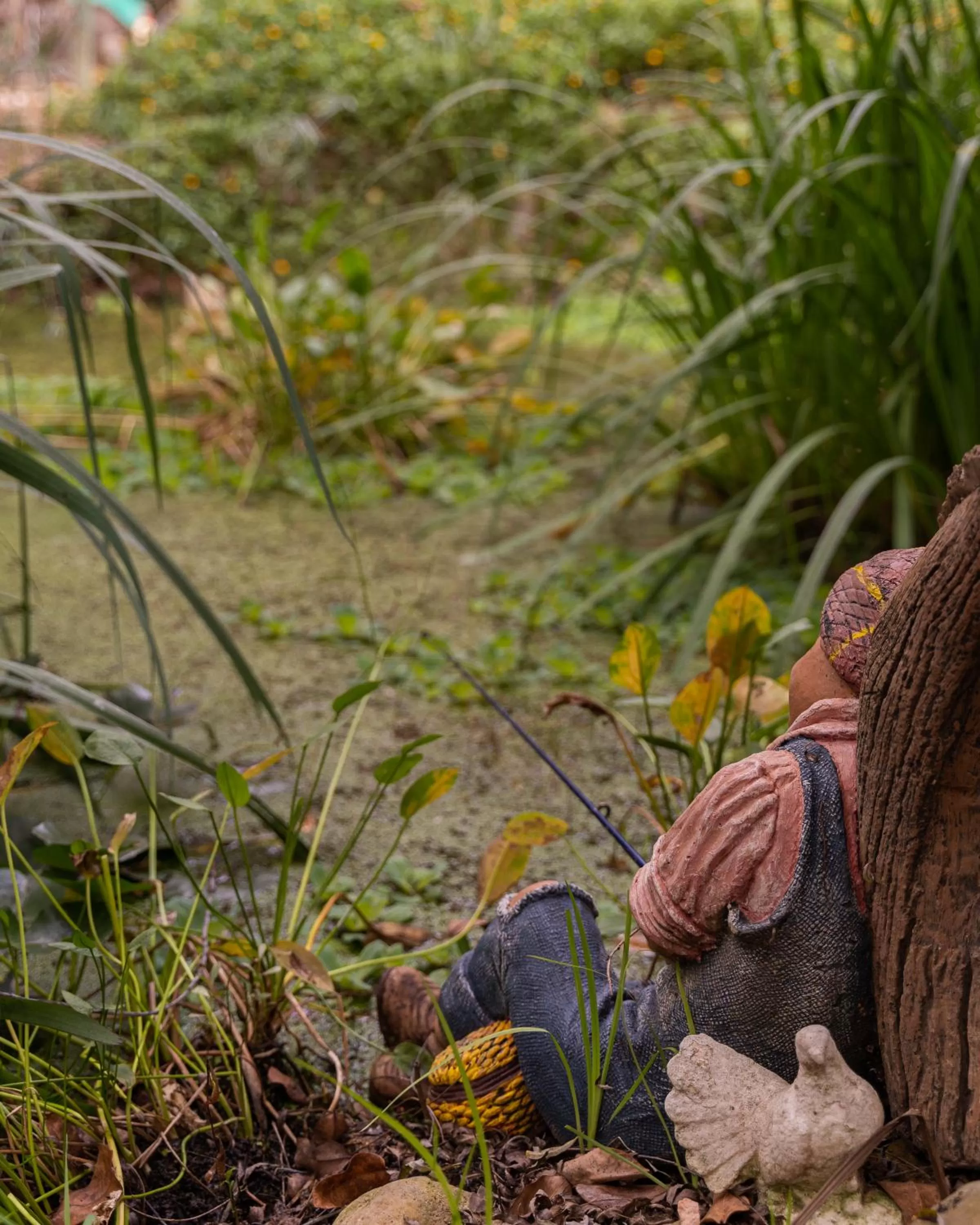 Garden, Other Animals in Aquaelberg Place