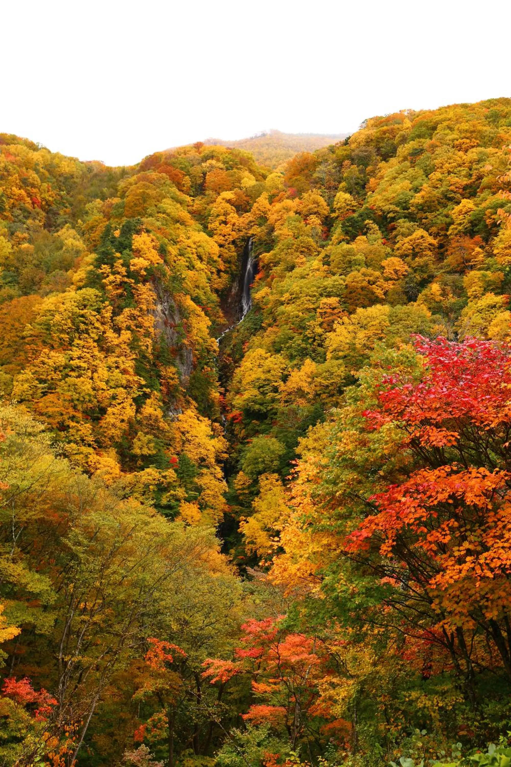 Nearby landmark in Ryokan Warabino