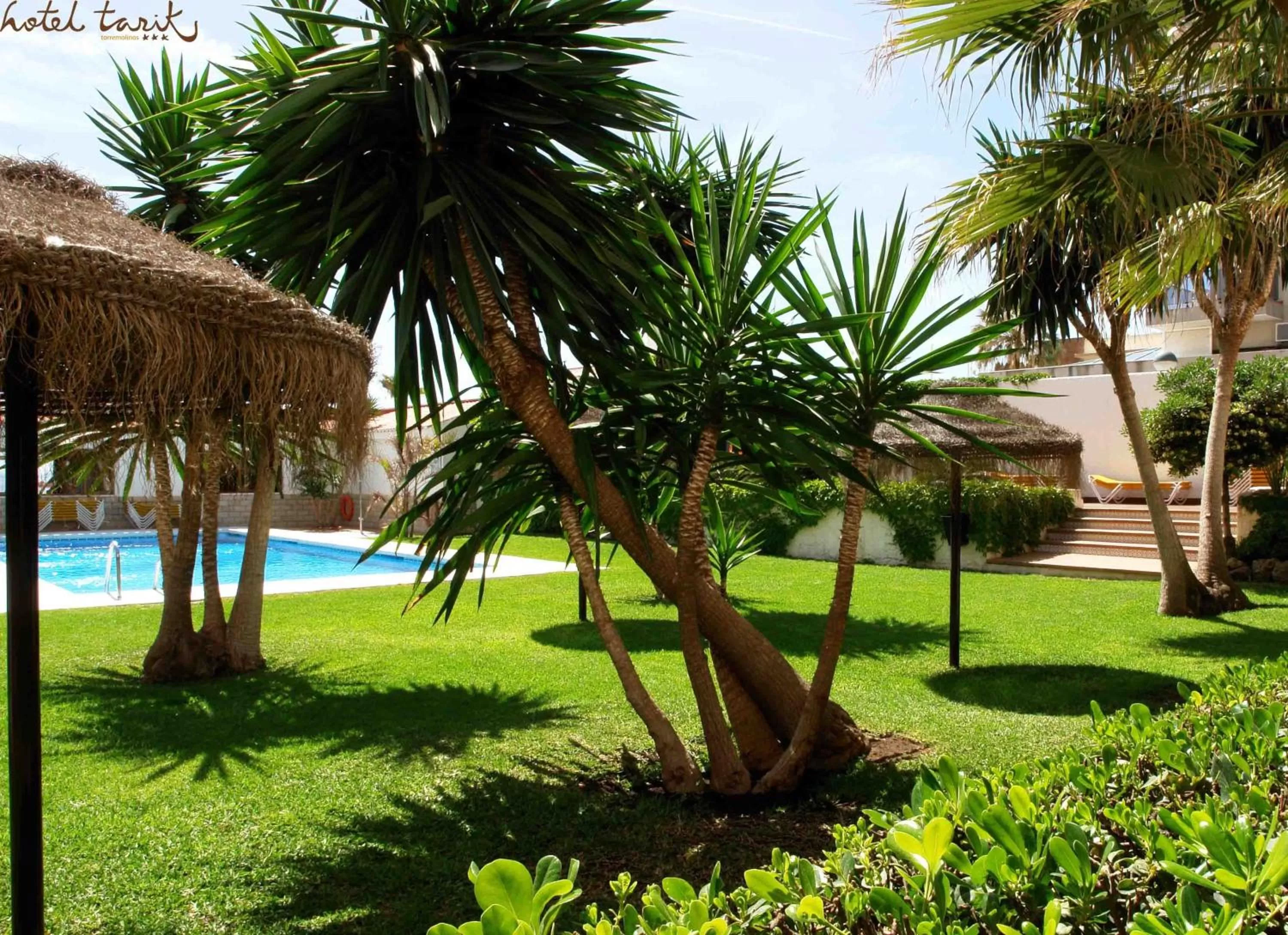 Garden in Hotel Tarik