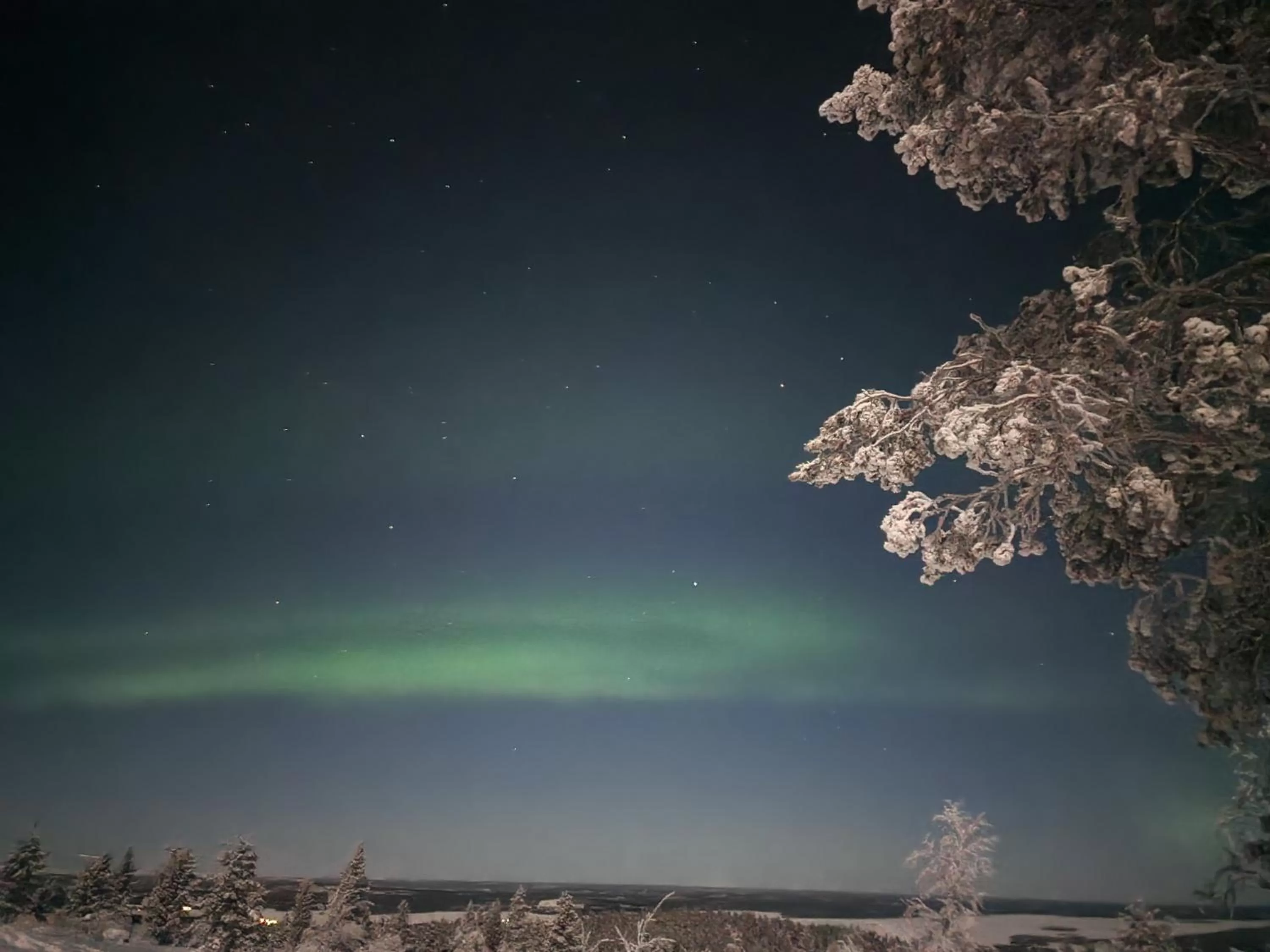 Natural landscape in Kultahippu Hotel & Apartments