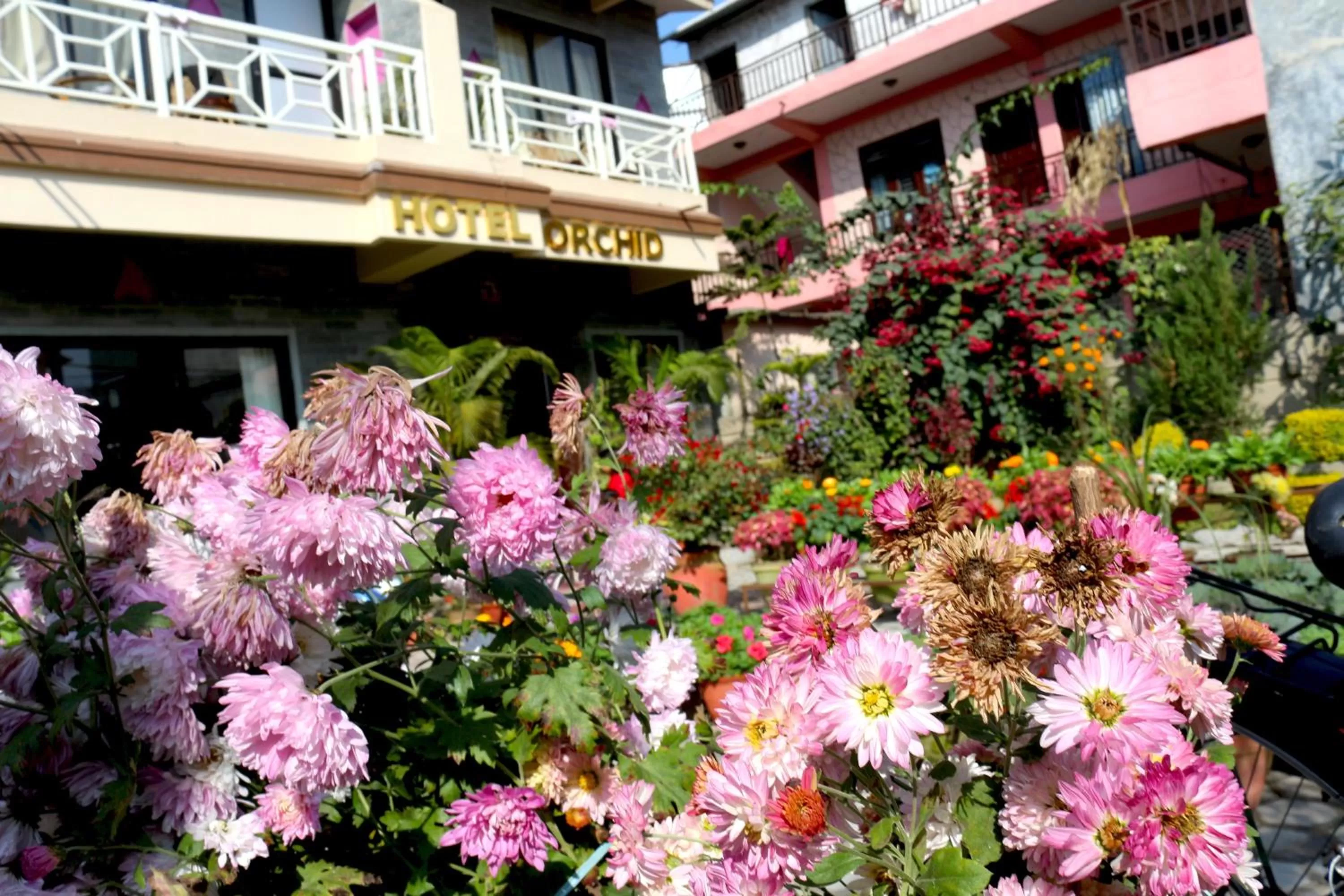 Bird's eye view in Hotel Orchid