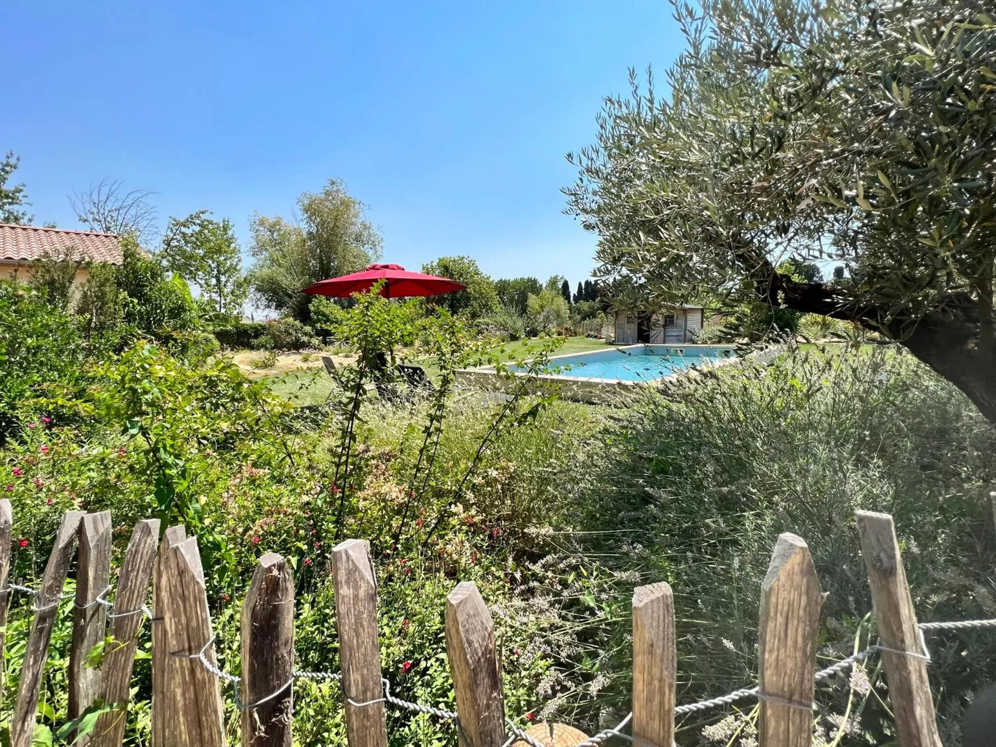Swimming pool in BASTIDE DES MARTELIERES