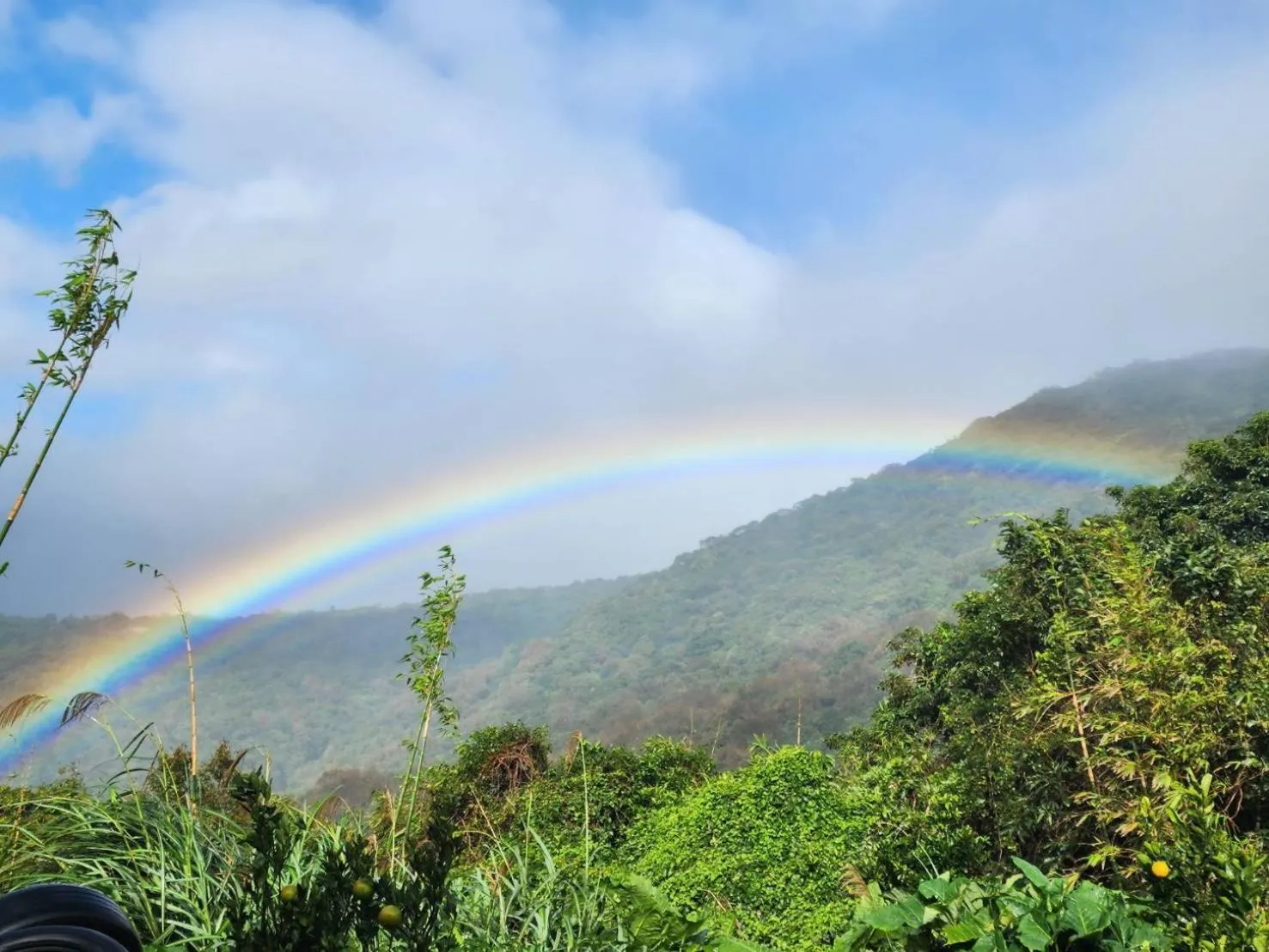Natural landscape in Yanmin Hot Spring Resort