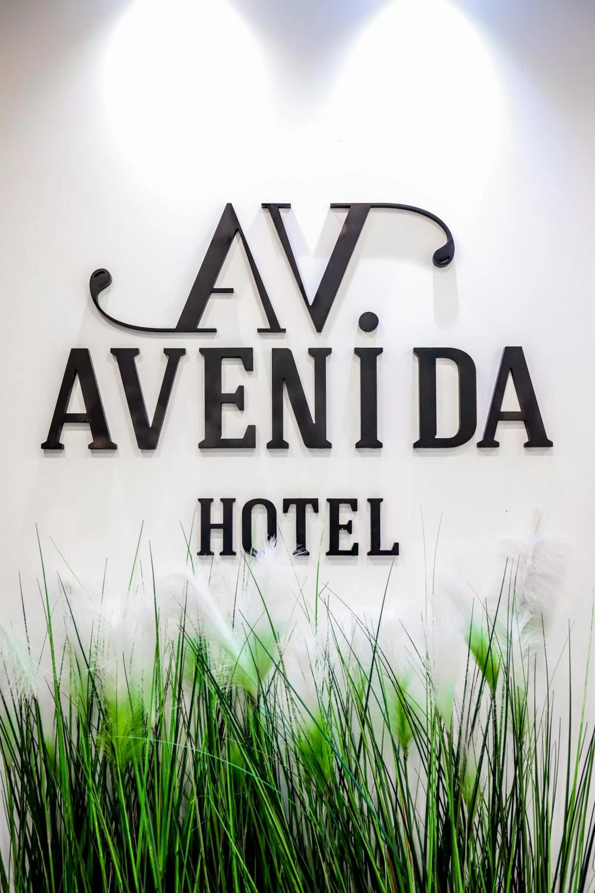 Property logo or sign in Hotel Avenida