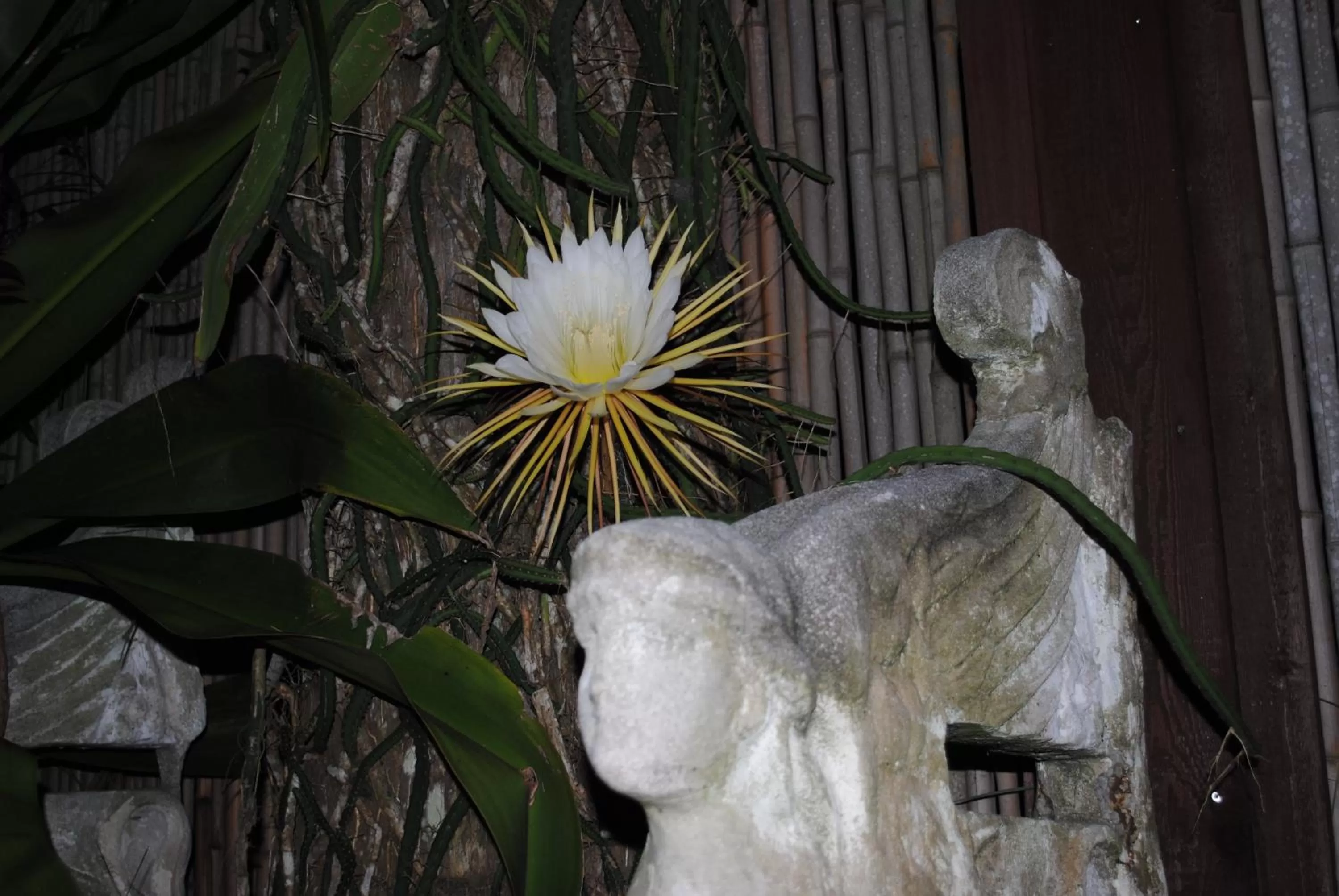 Decorative detail in Port d'Hiver Bed and Breakfast