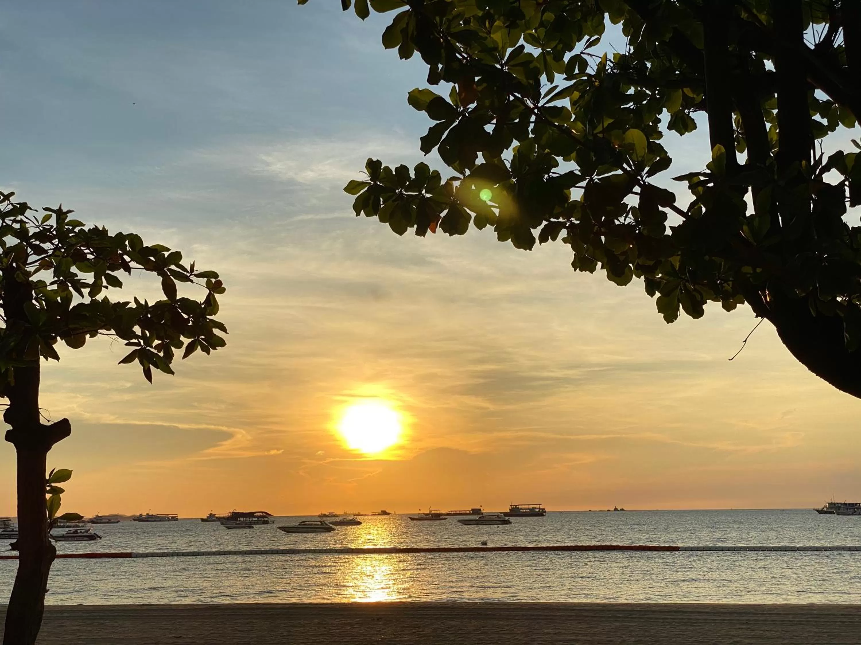 Property building in New Star