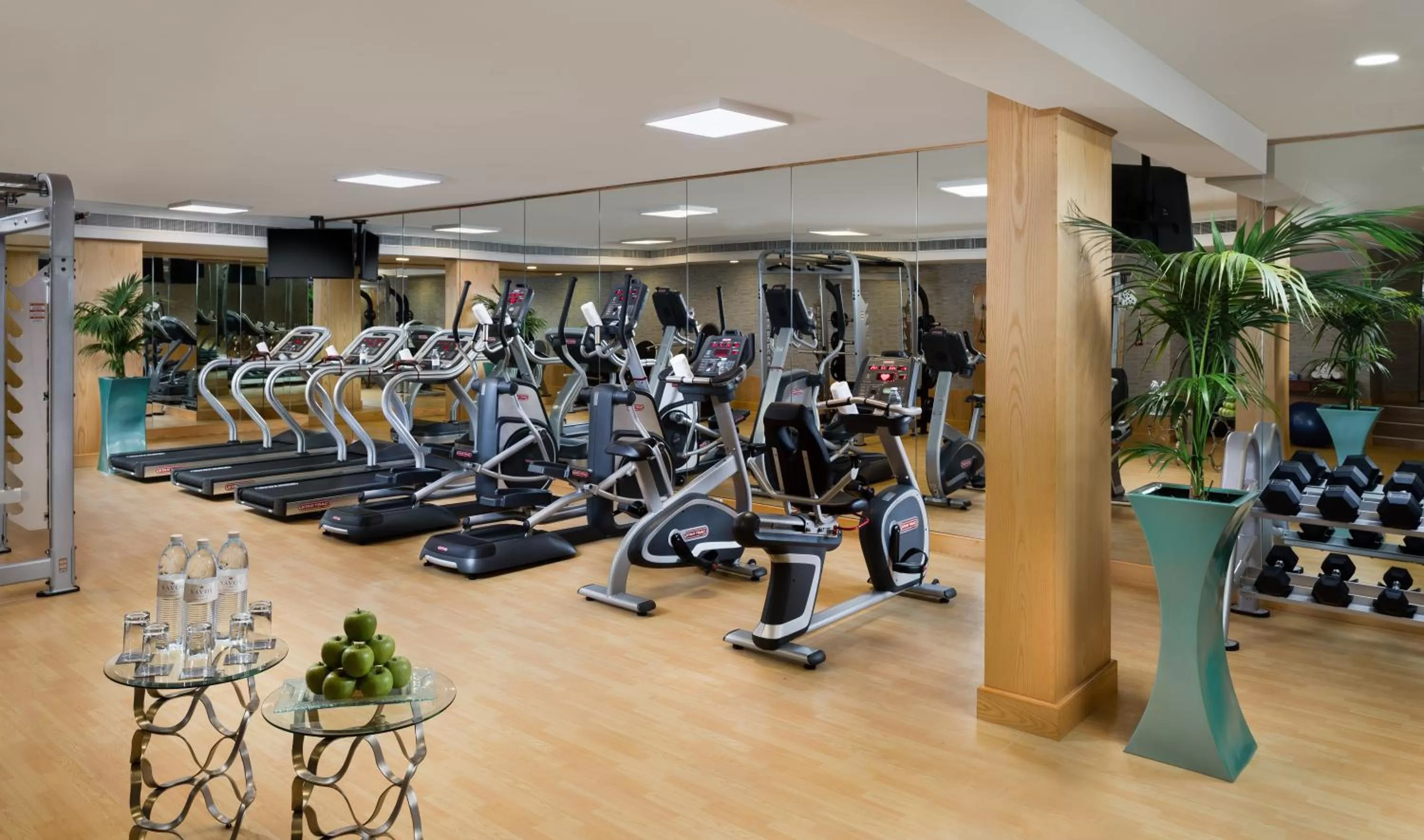 Fitness centre/facilities in Savoy Crest Hotel Apartments