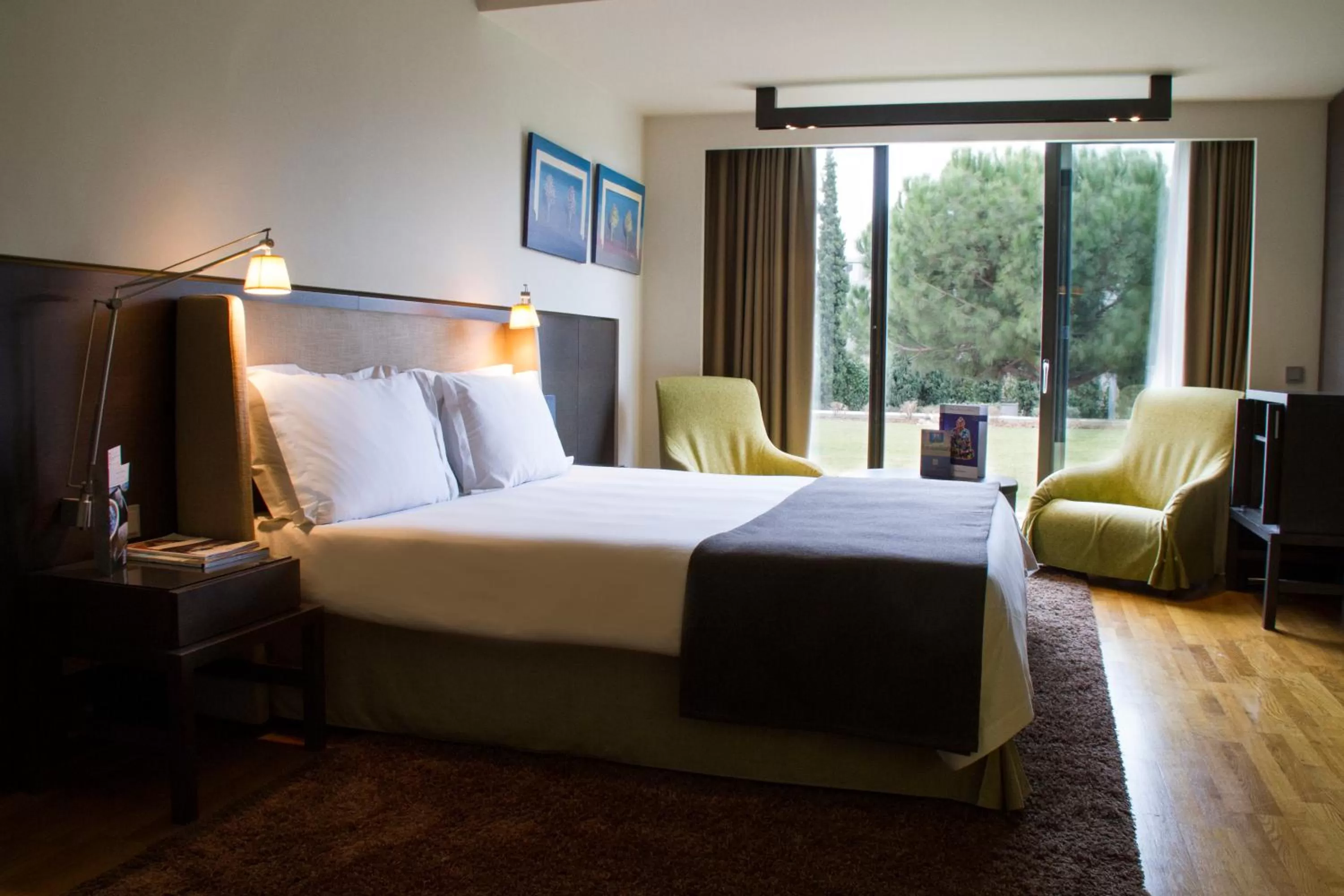 Photo of the whole room, Room Photo in Hotel Nikopolis