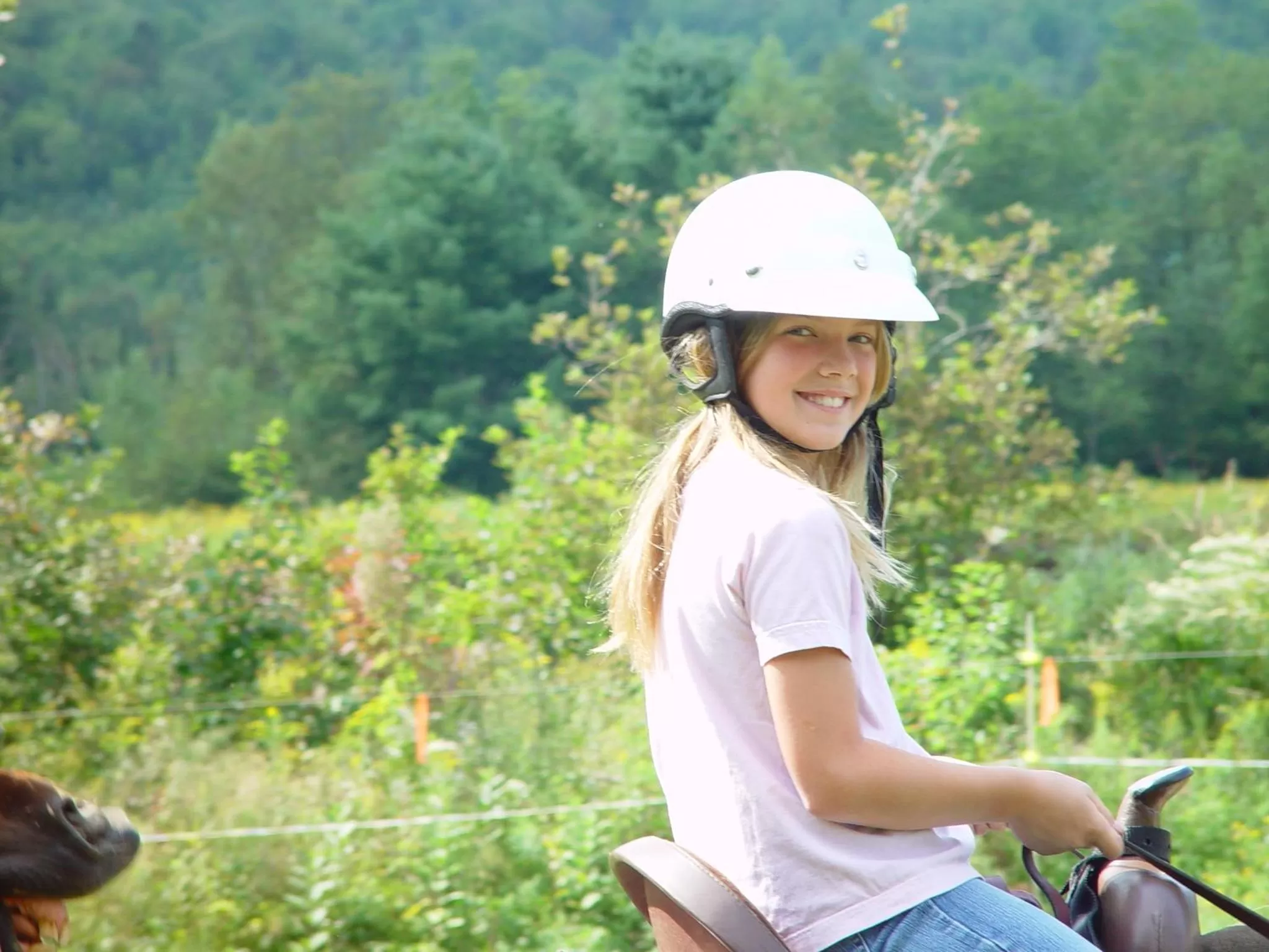Horse-riding in Franconia Inn