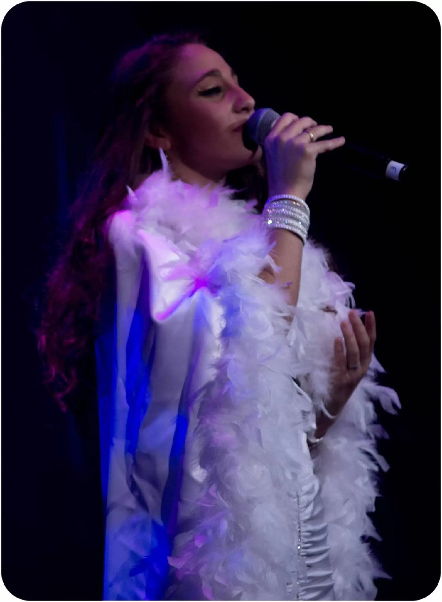 Evening entertainment in La Bournerie