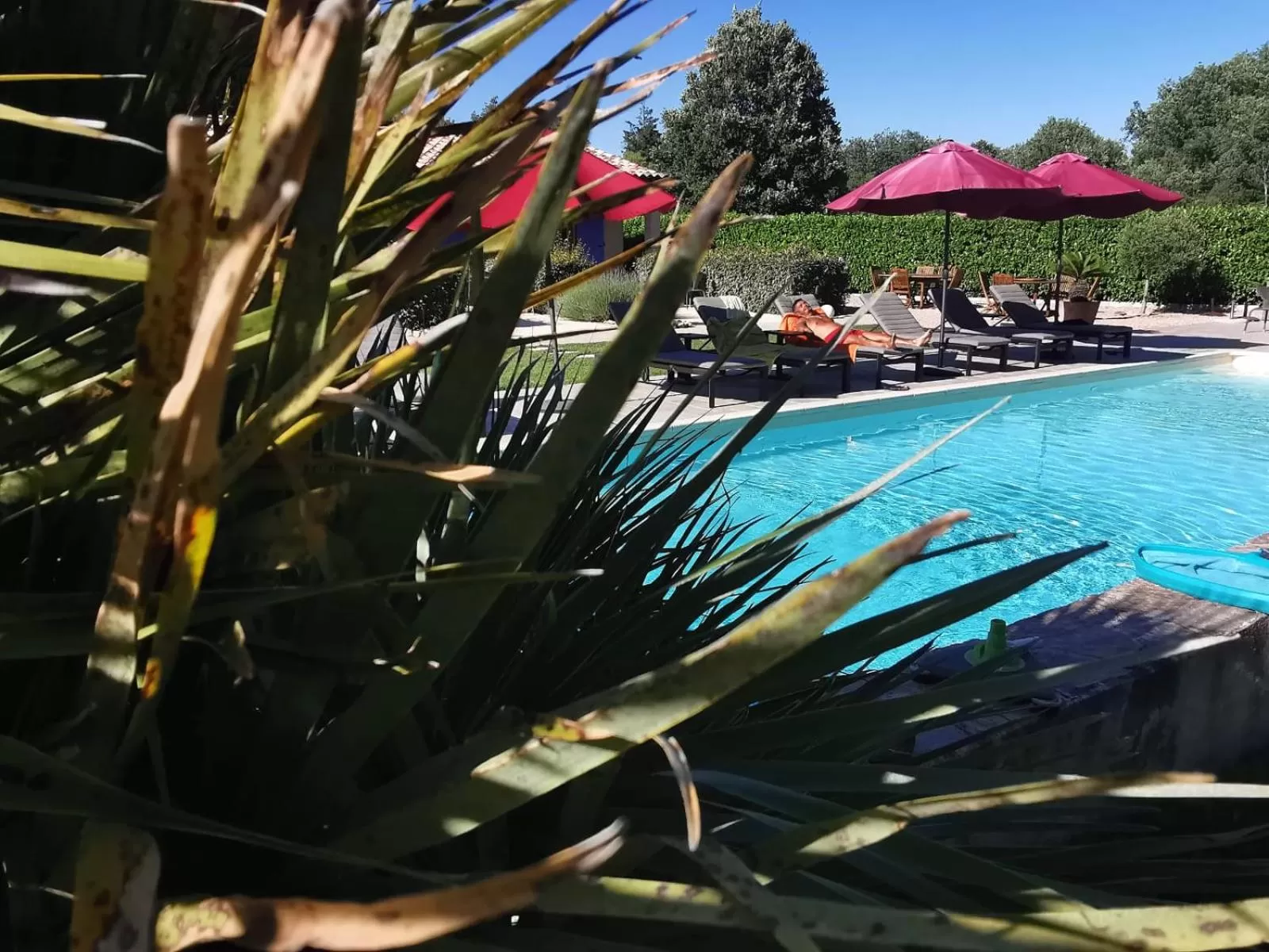 Pool view, Swimming Pool in La Dryade