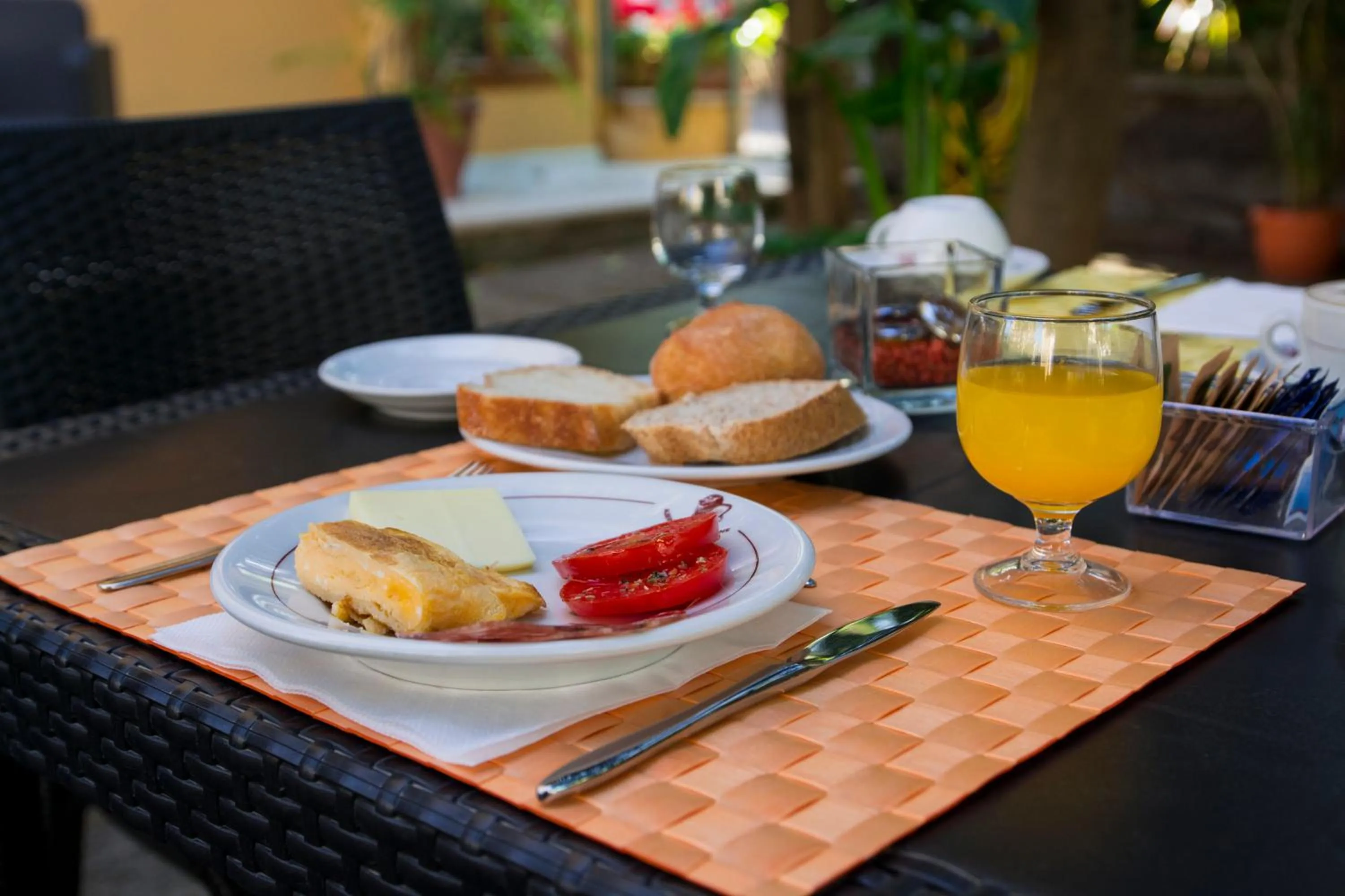 Garden in Hotel Leone