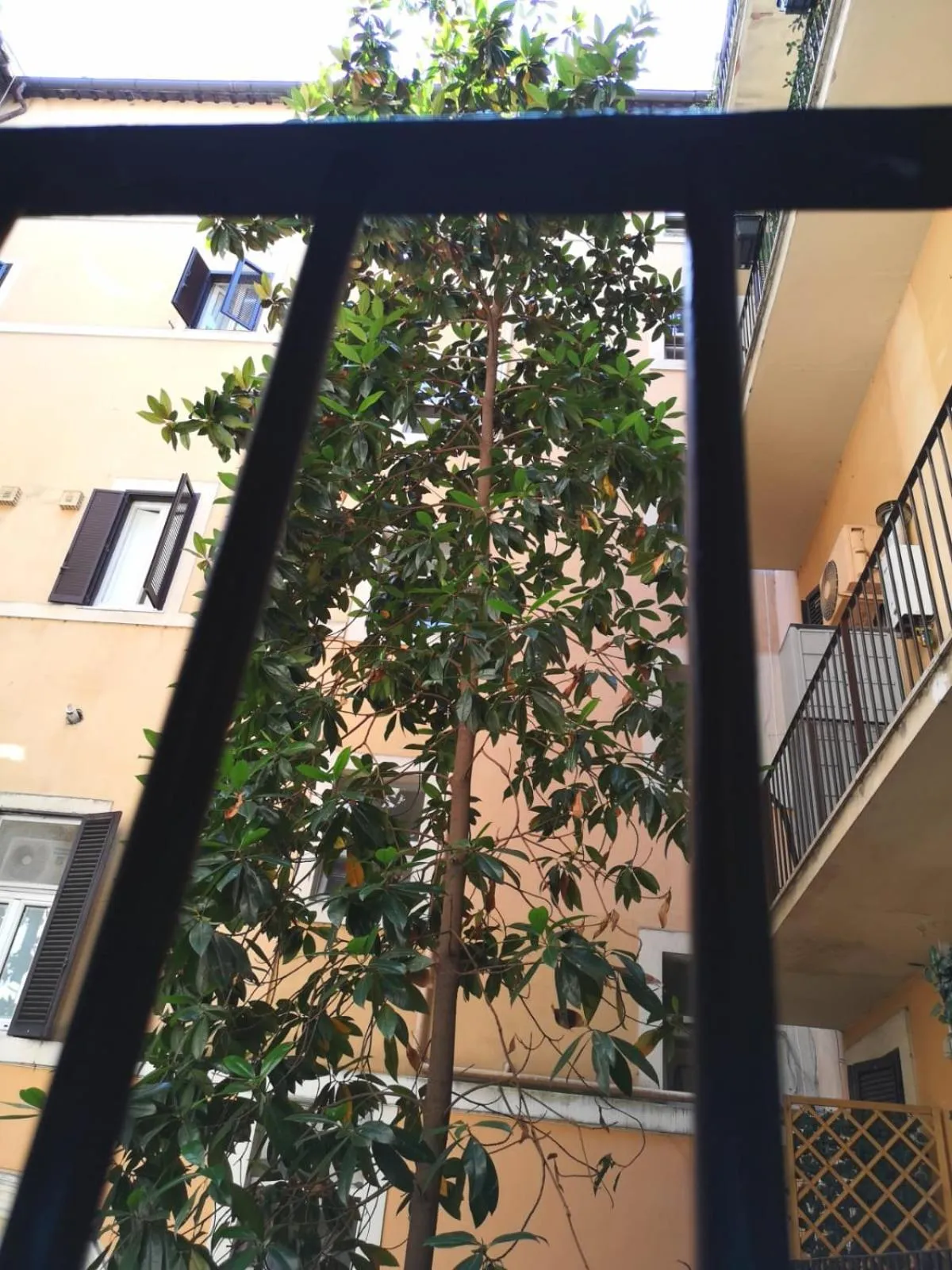 Balcony/Terrace in Dulcis In Pantheon