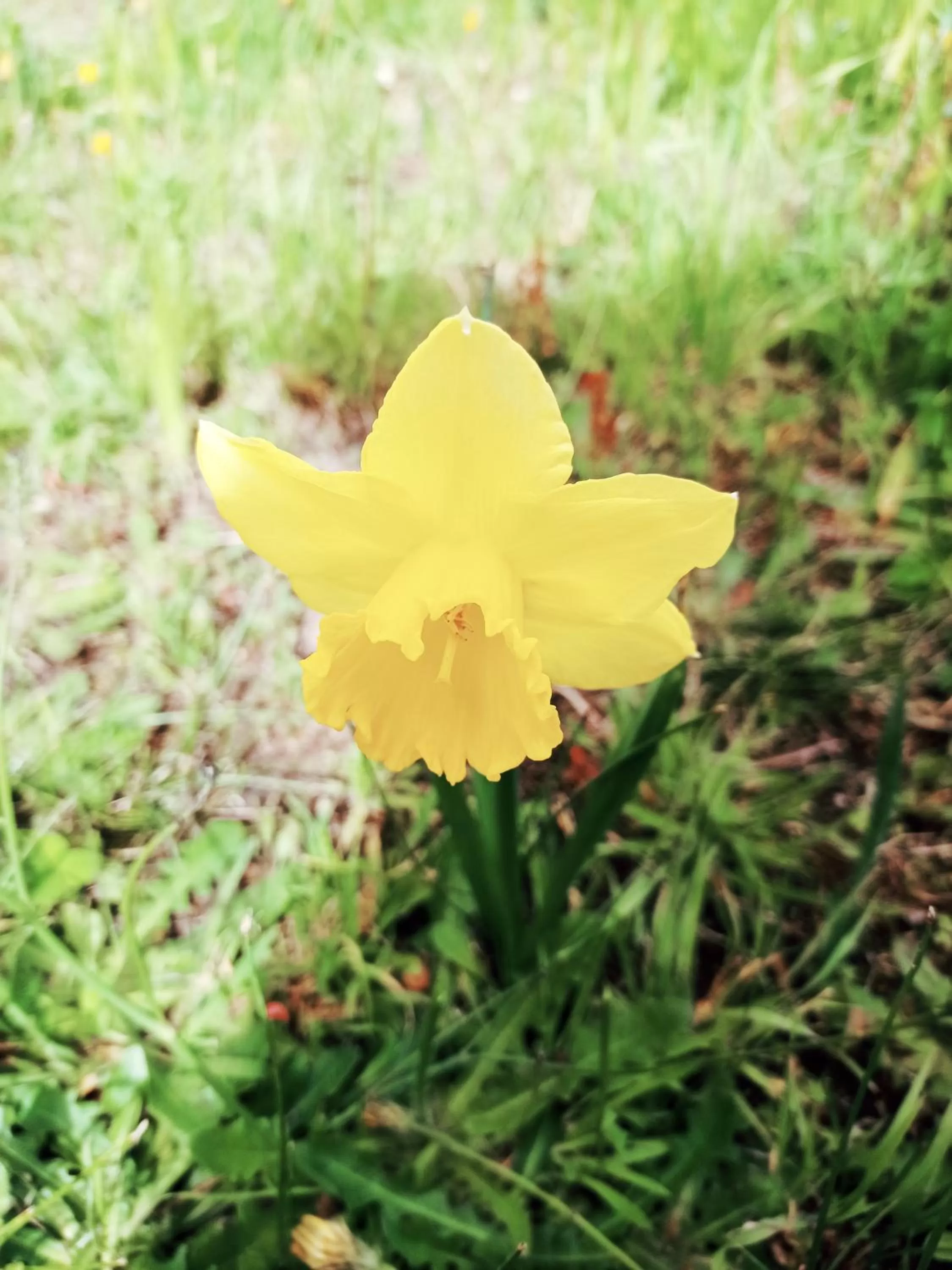 Hotel Refugio Pozo Azul