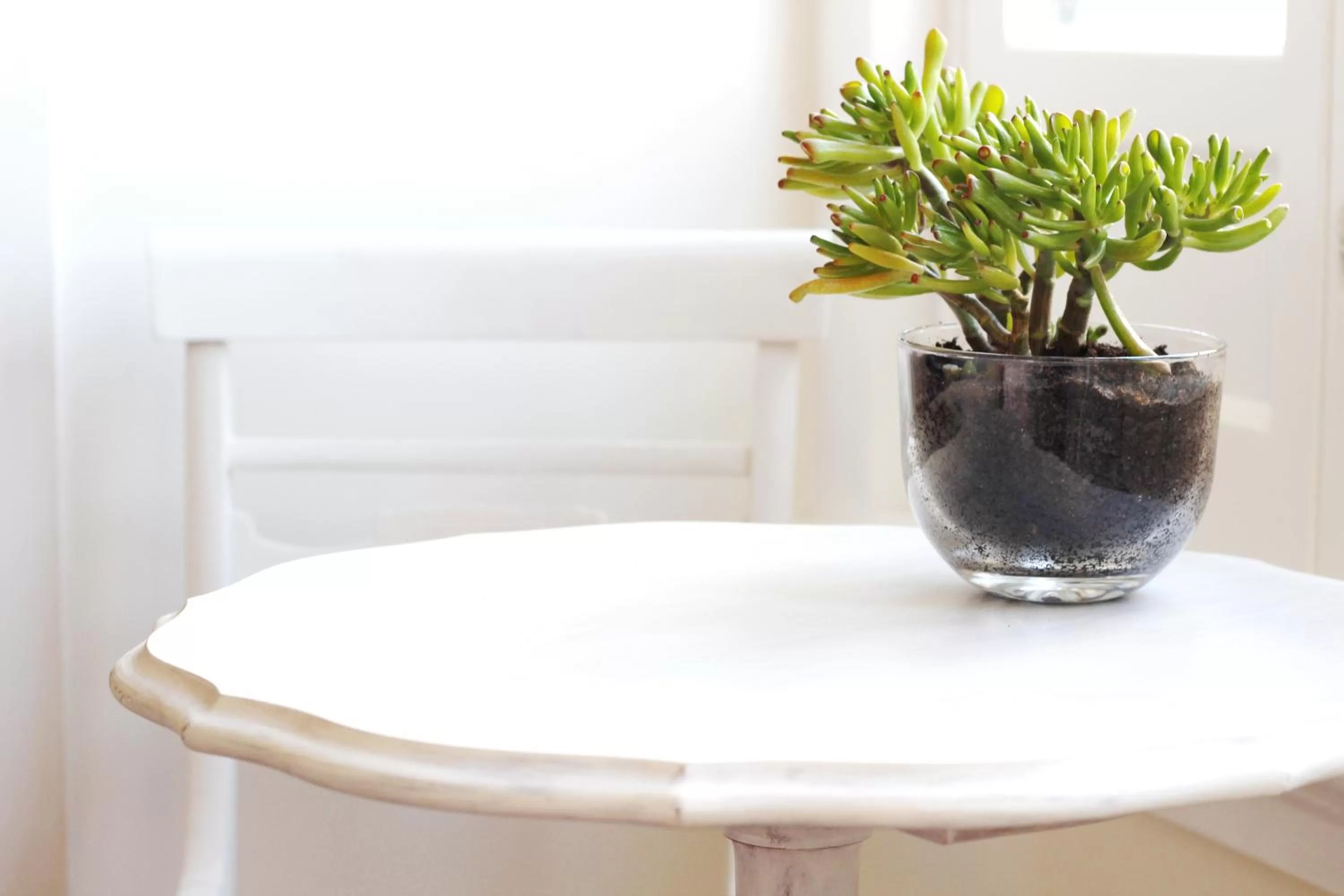 Property building in Magnolia Guesthouse