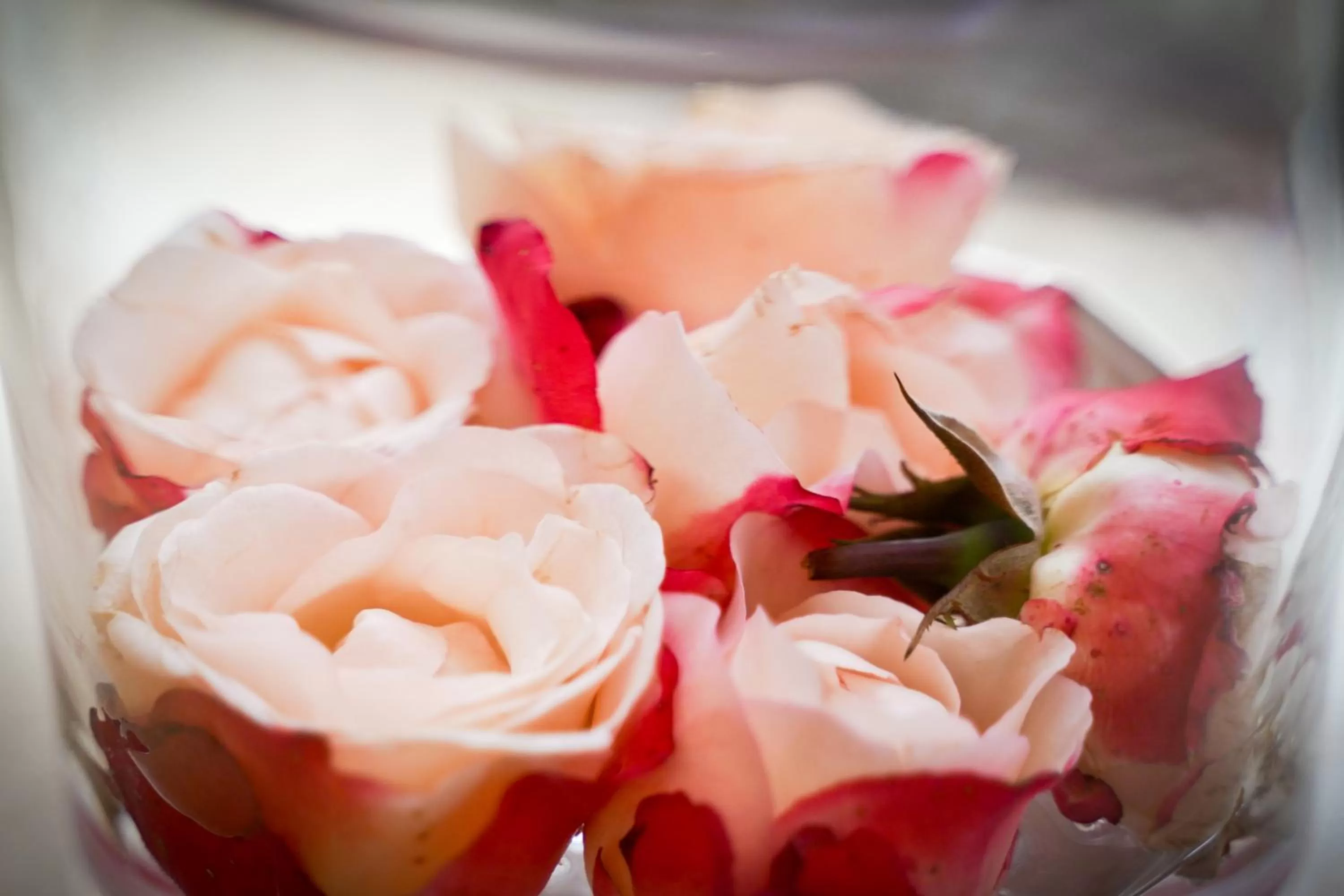 Decorative detail in Hotel im Kupferkessel