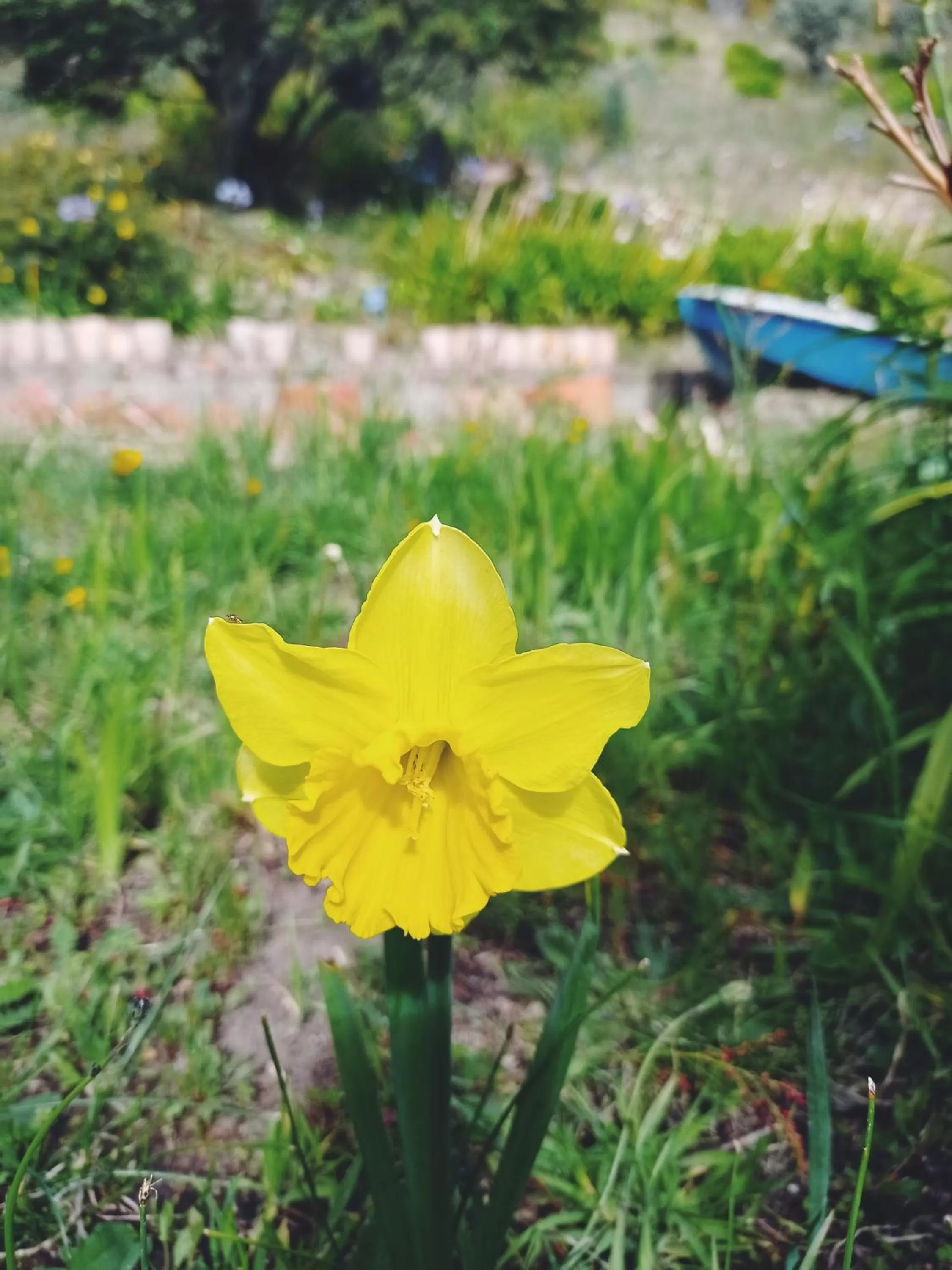 Hotel Refugio Pozo Azul