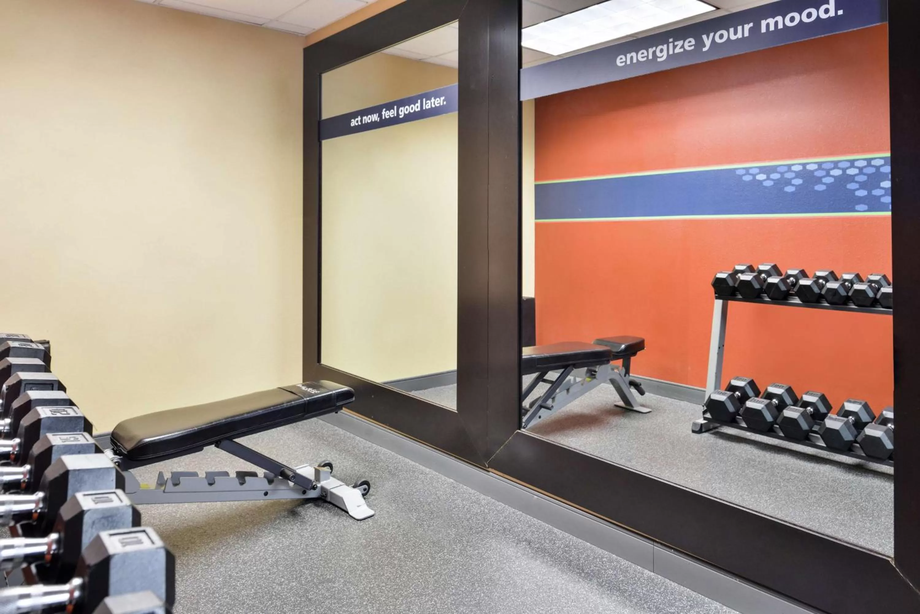 Fitness centre/facilities in Hampton Inn Greensboro East / McLeansville