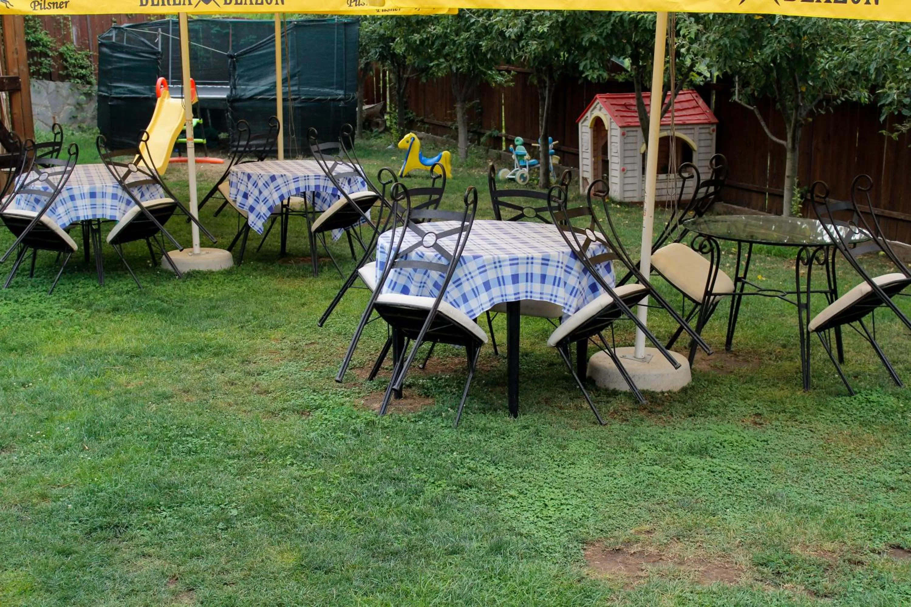 Day, Garden in Pensiunea Taverna Bucium
